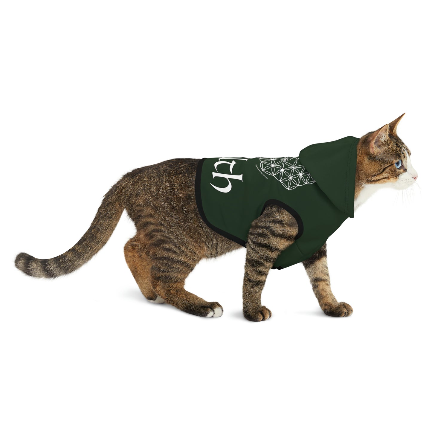 Spellcaster by Patti Negri Dog Hoodie - Wealth