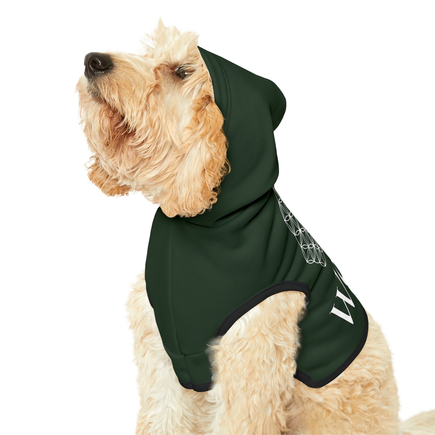 Spellcaster by Patti Negri Dog Hoodie - Wealth