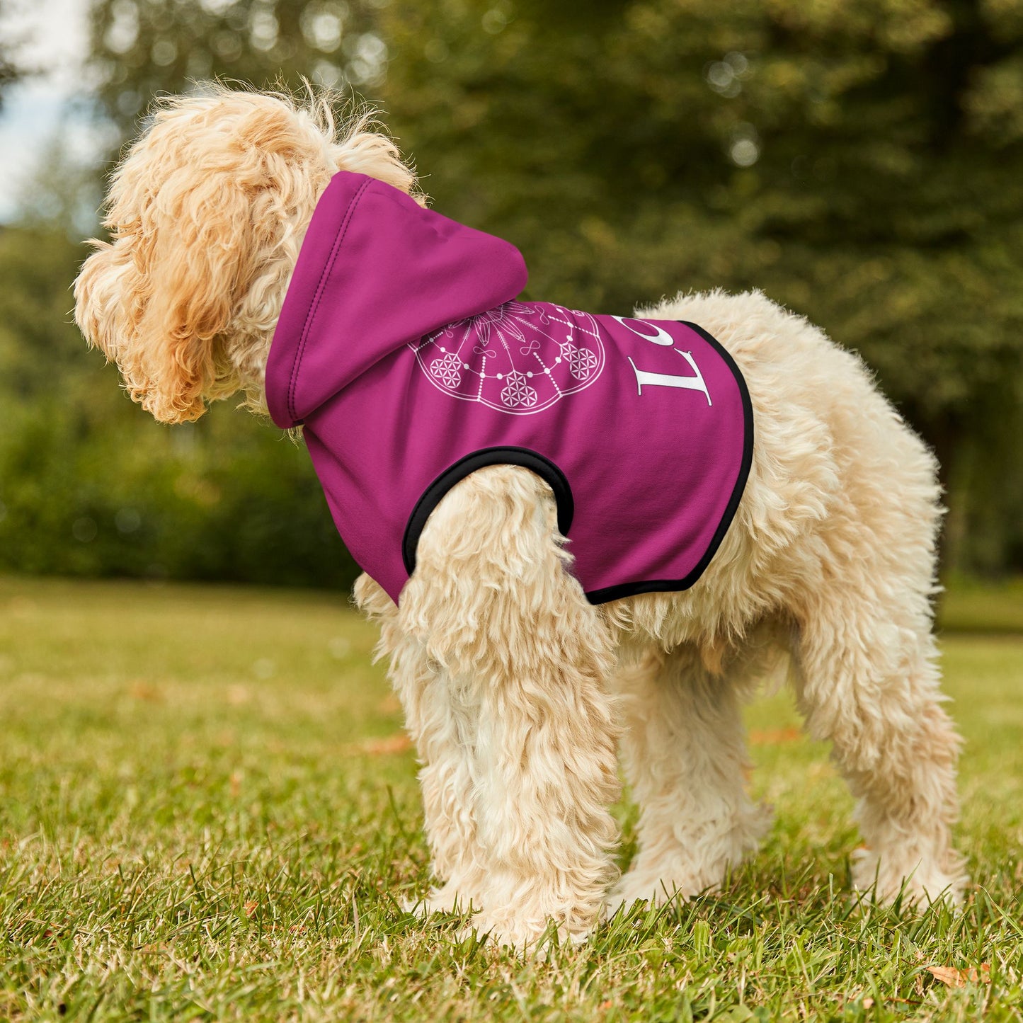 Patti's Power Spellcaster Dog Hoodie - Love