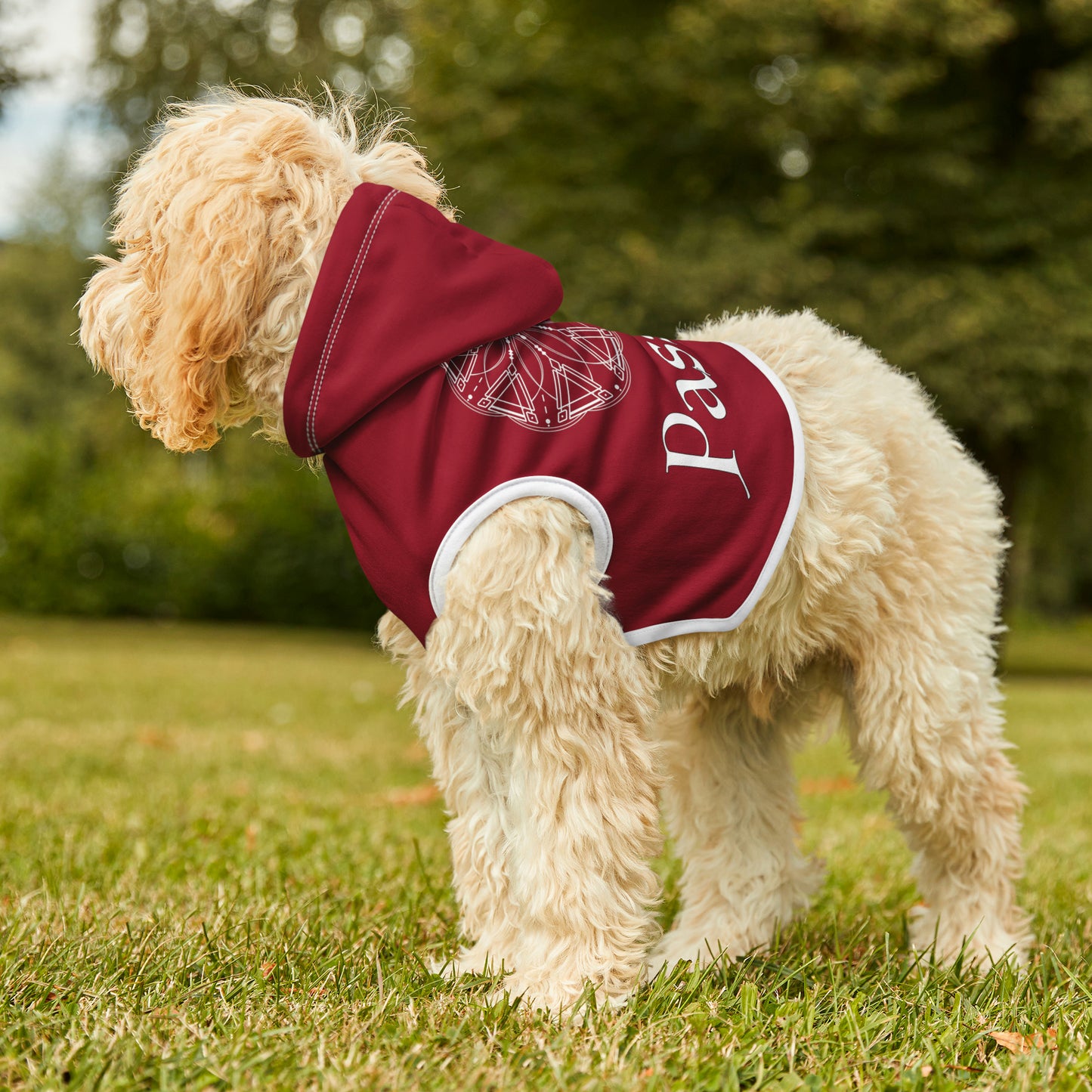 Spellcaster Pets by Patti Negri Dog Hoodie -Passion