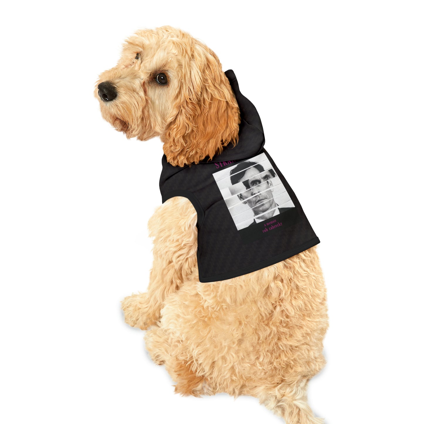 Strange Cures by Rob Zabrecky Pet Hoodie