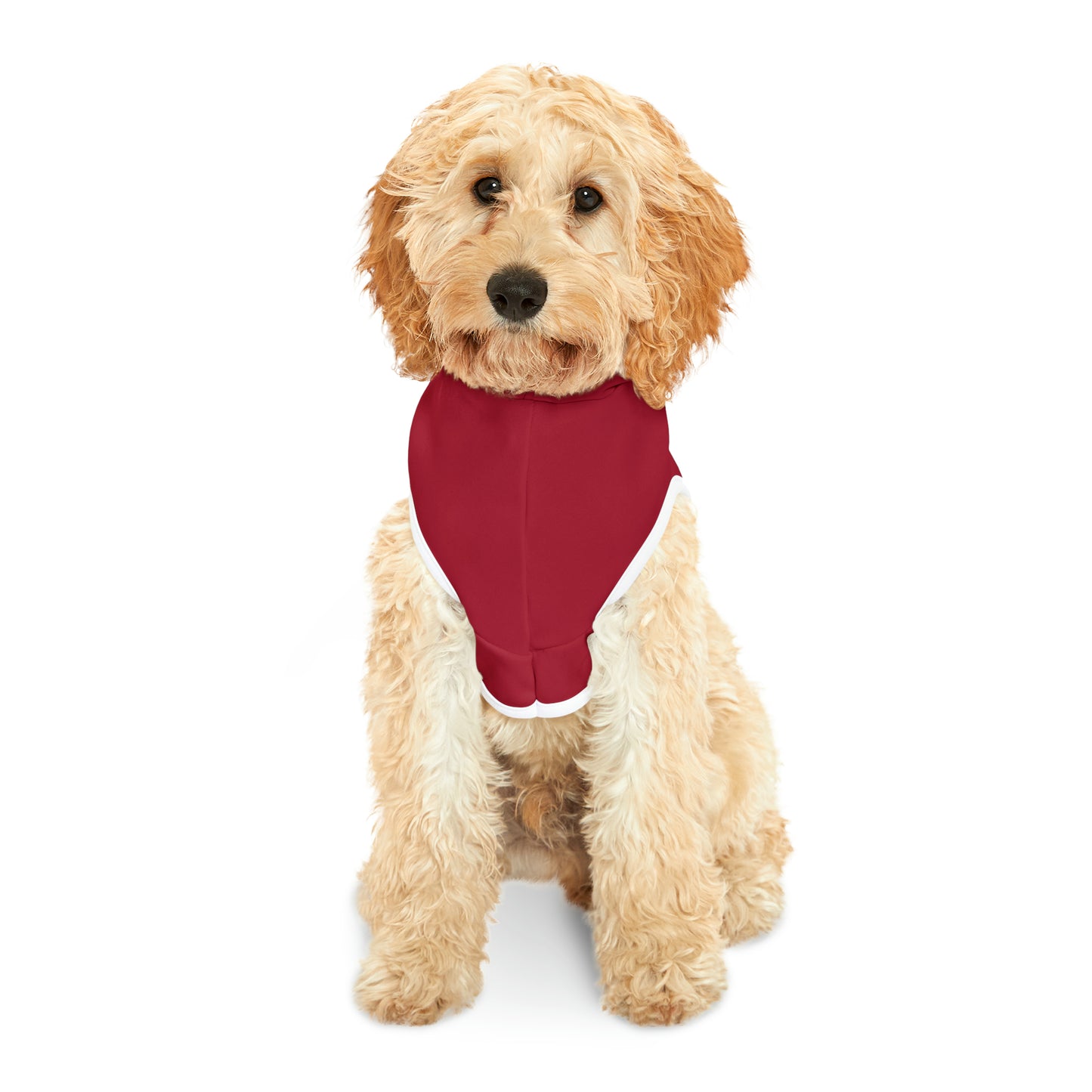 Spellcaster Pets by Patti Negri Dog Hoodie -Passion