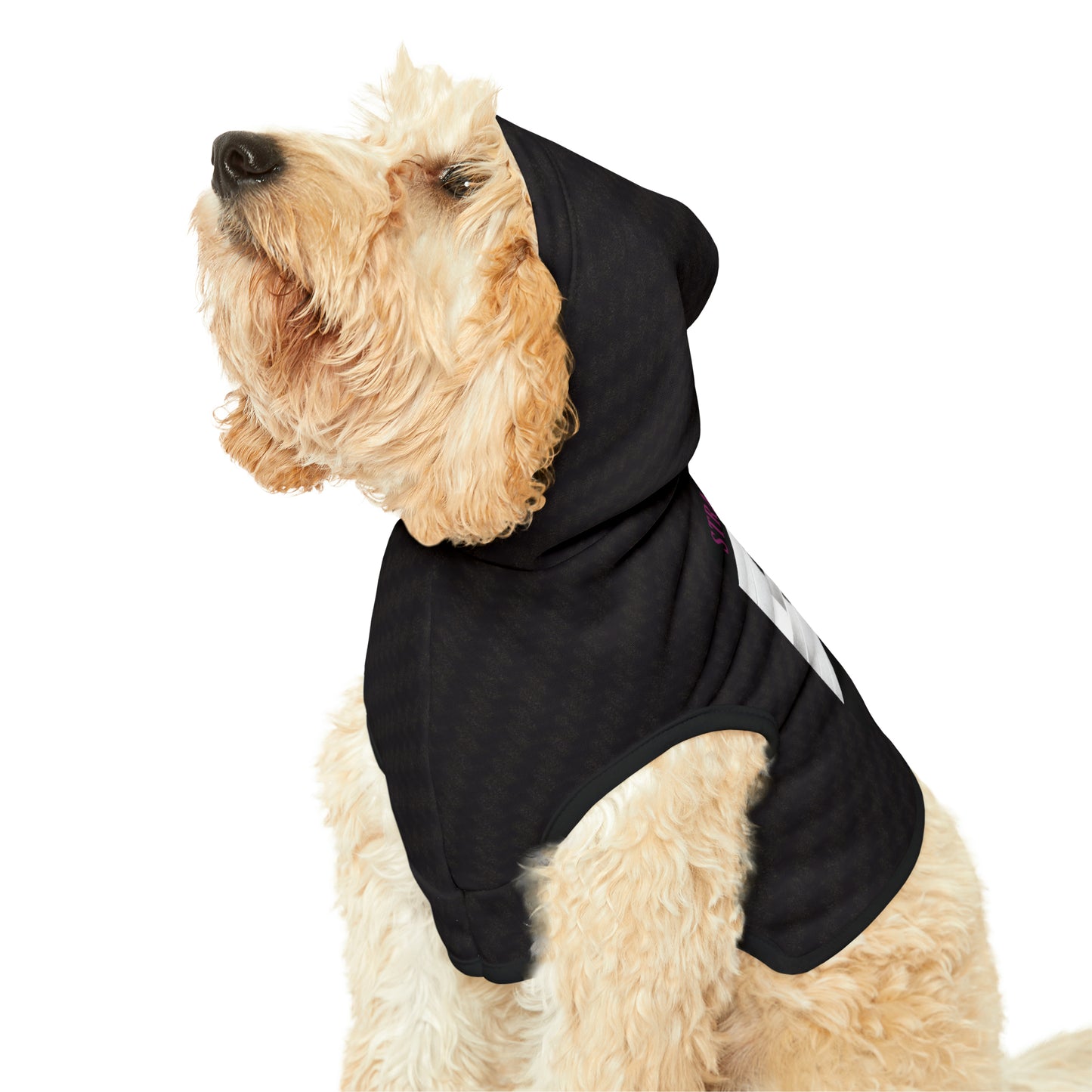 Strange Cures by Rob Zabrecky Pet Hoodie