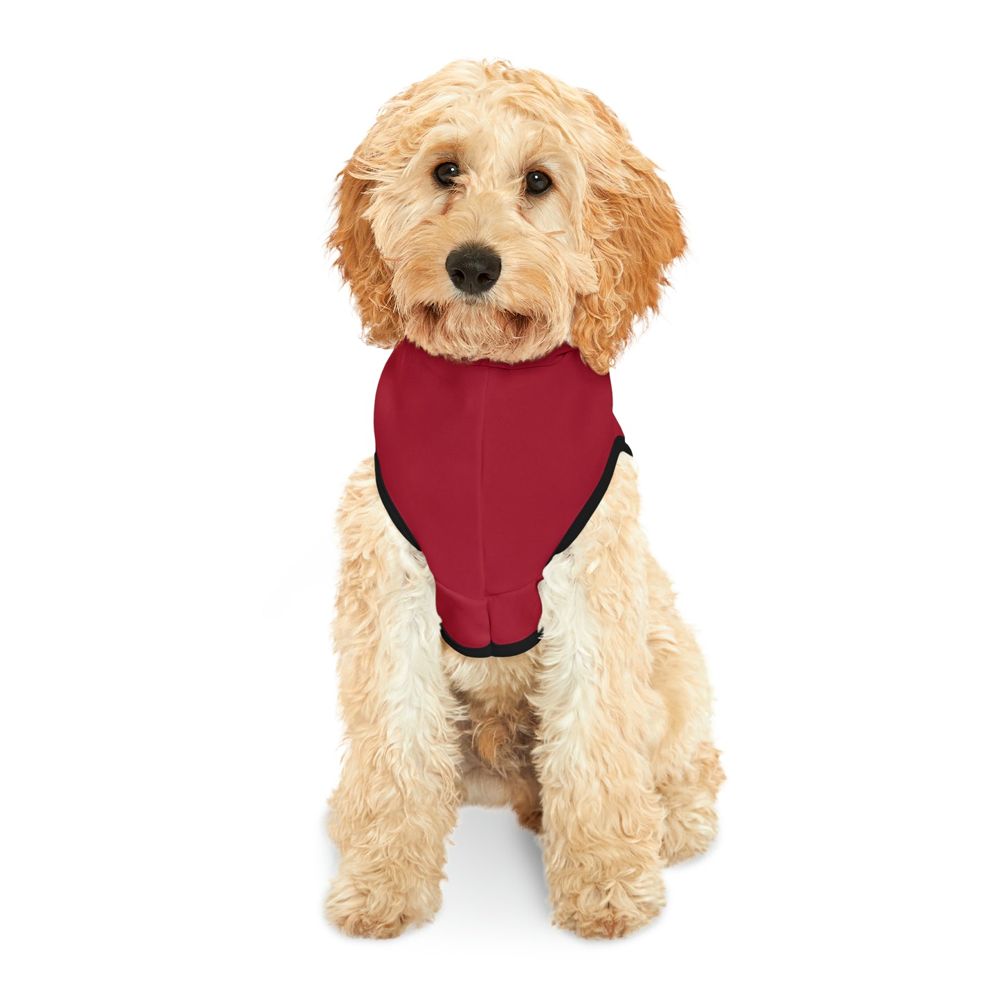 Spellcaster Pets by Patti Negri Dog Hoodie -Passion