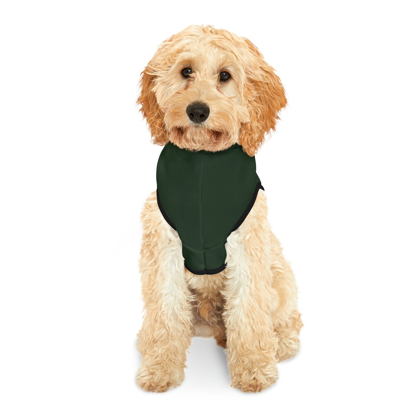 Spellcaster by Patti Negri Dog Hoodie - Wealth