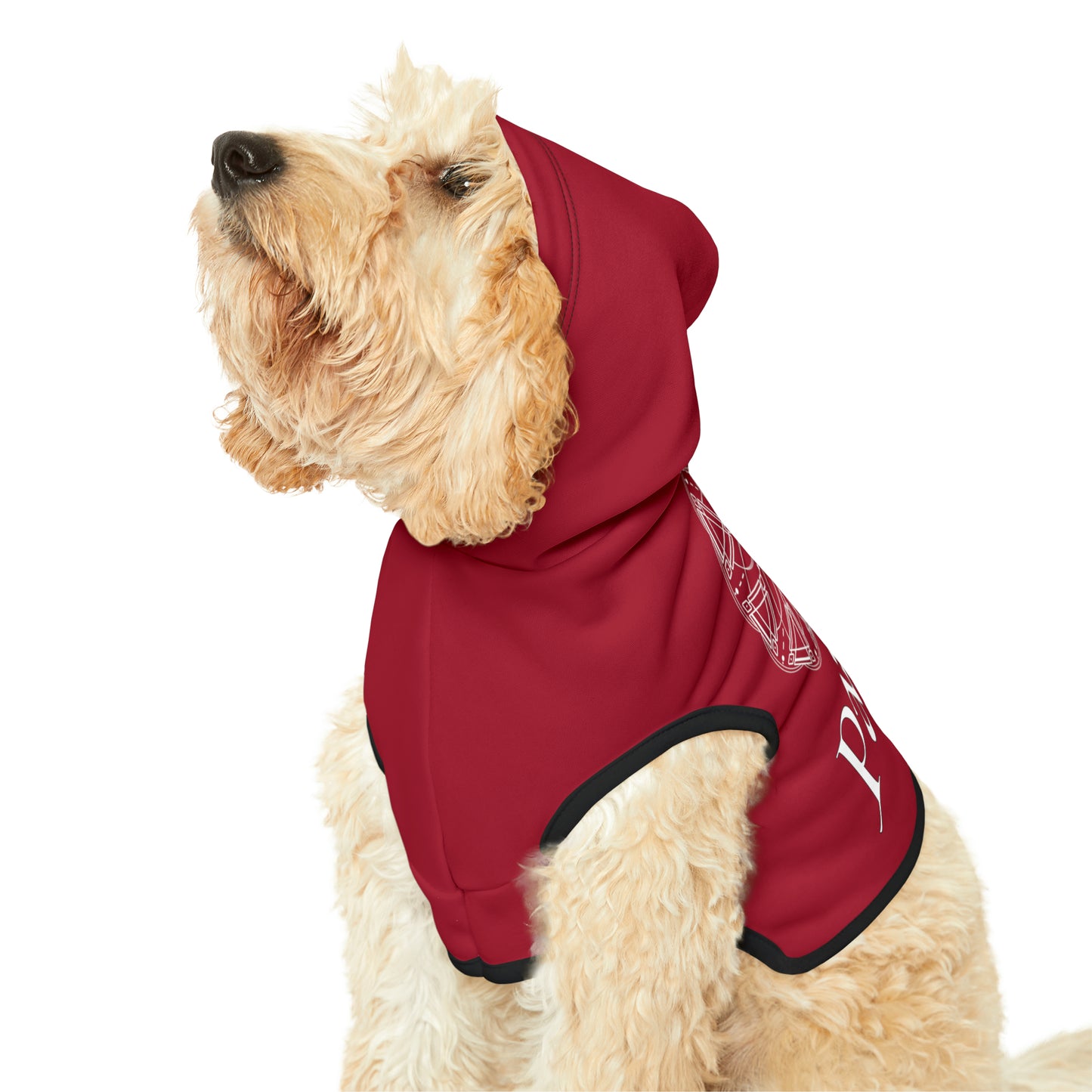 Spellcaster Pets by Patti Negri Dog Hoodie -Passion