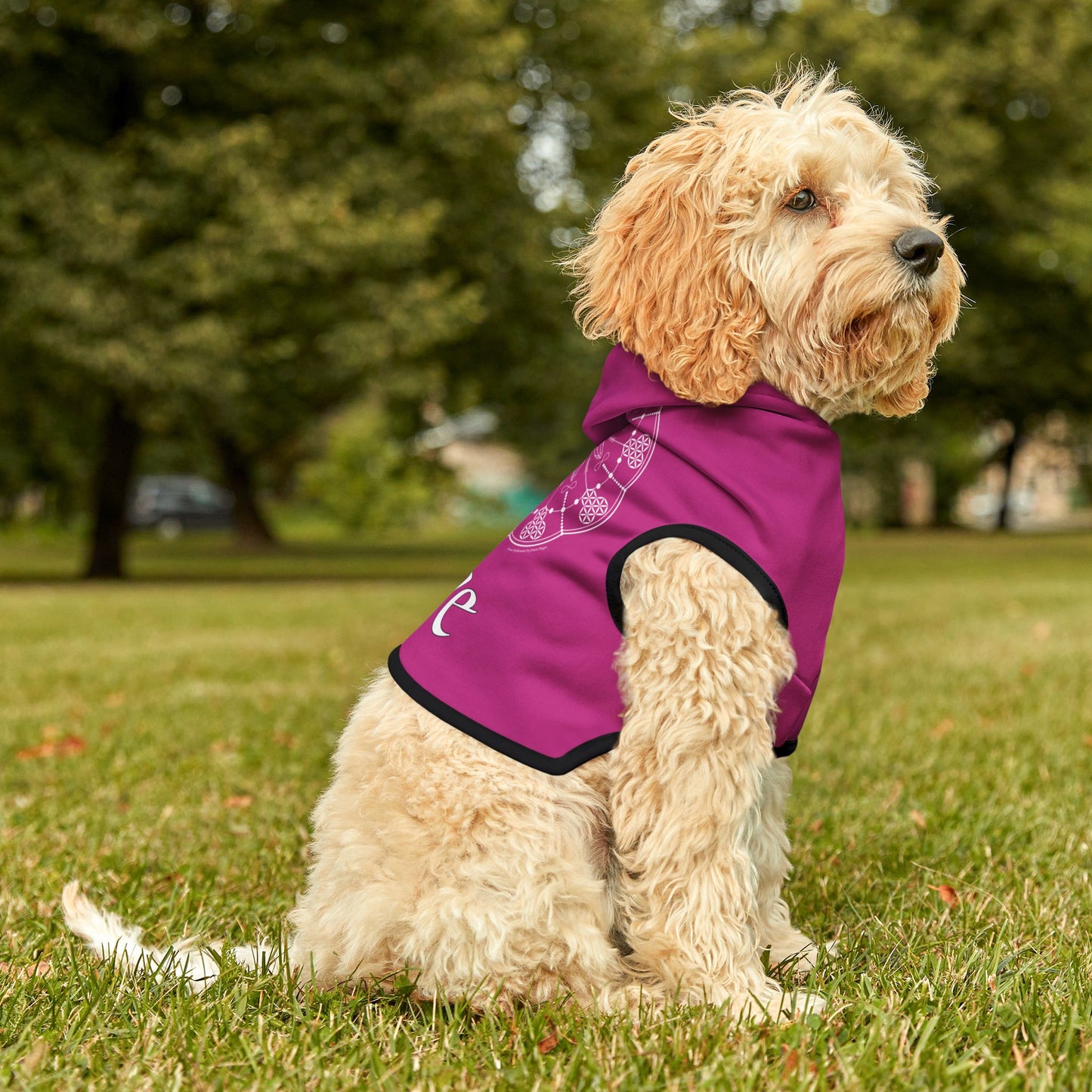 Patti's Power Spellcaster Dog Hoodie - Love