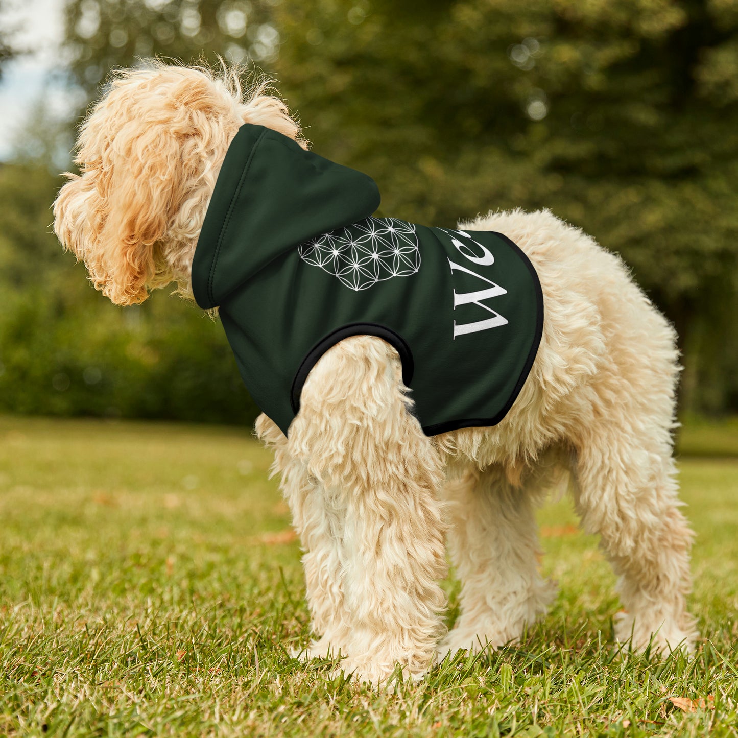 Spellcaster by Patti Negri Dog Hoodie - Wealth