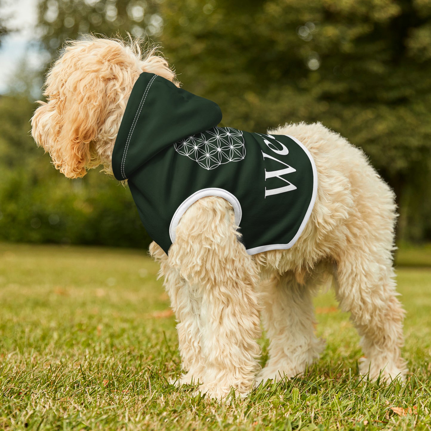 Spellcaster by Patti Negri Dog Hoodie - Wealth