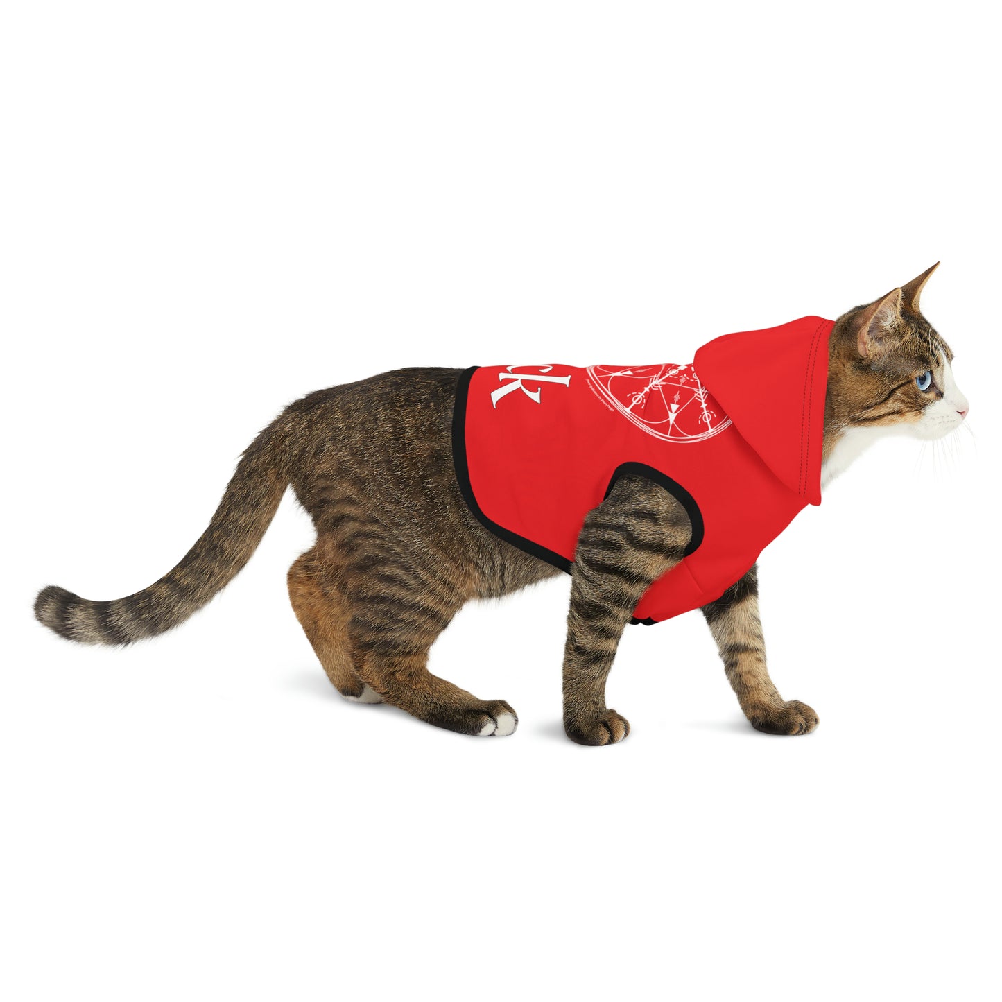 Spellcaster by Patti Negri Dog Hoodie - Luck