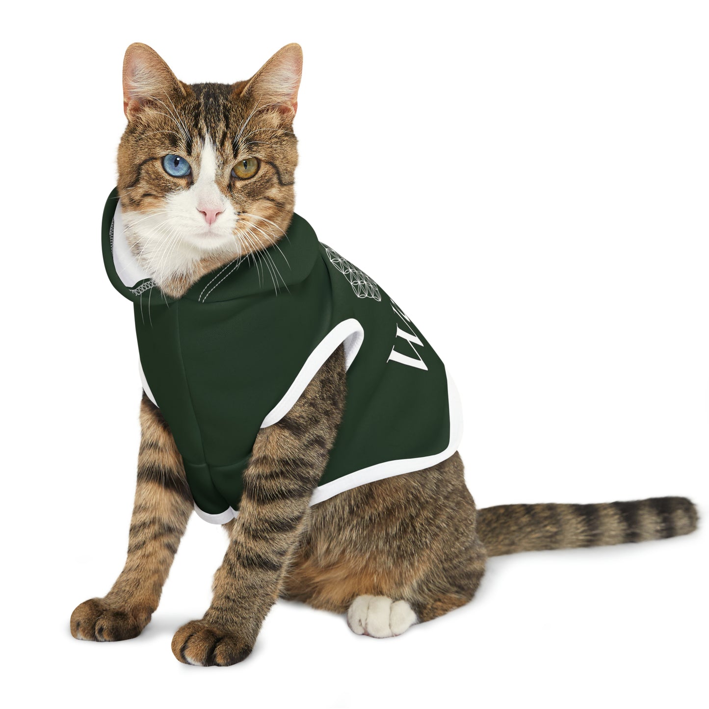 Spellcaster by Patti Negri Dog Hoodie - Wealth