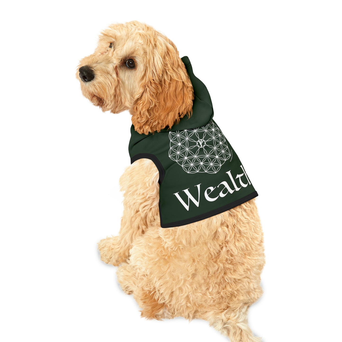 Spellcaster by Patti Negri Dog Hoodie - Wealth