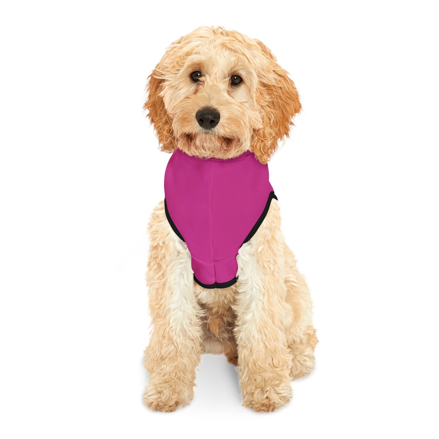 Patti's Power Spellcaster Dog Hoodie - Love