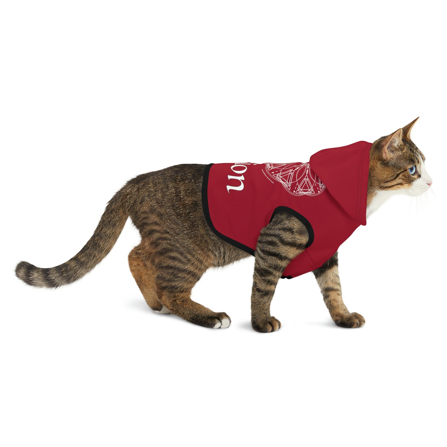 Spellcaster Pets by Patti Negri Dog Hoodie -Passion