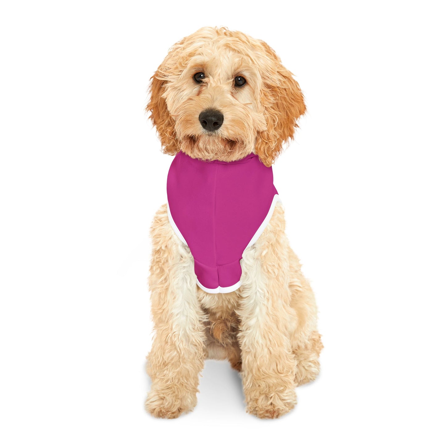 Patti's Power Spellcaster Dog Hoodie - Love