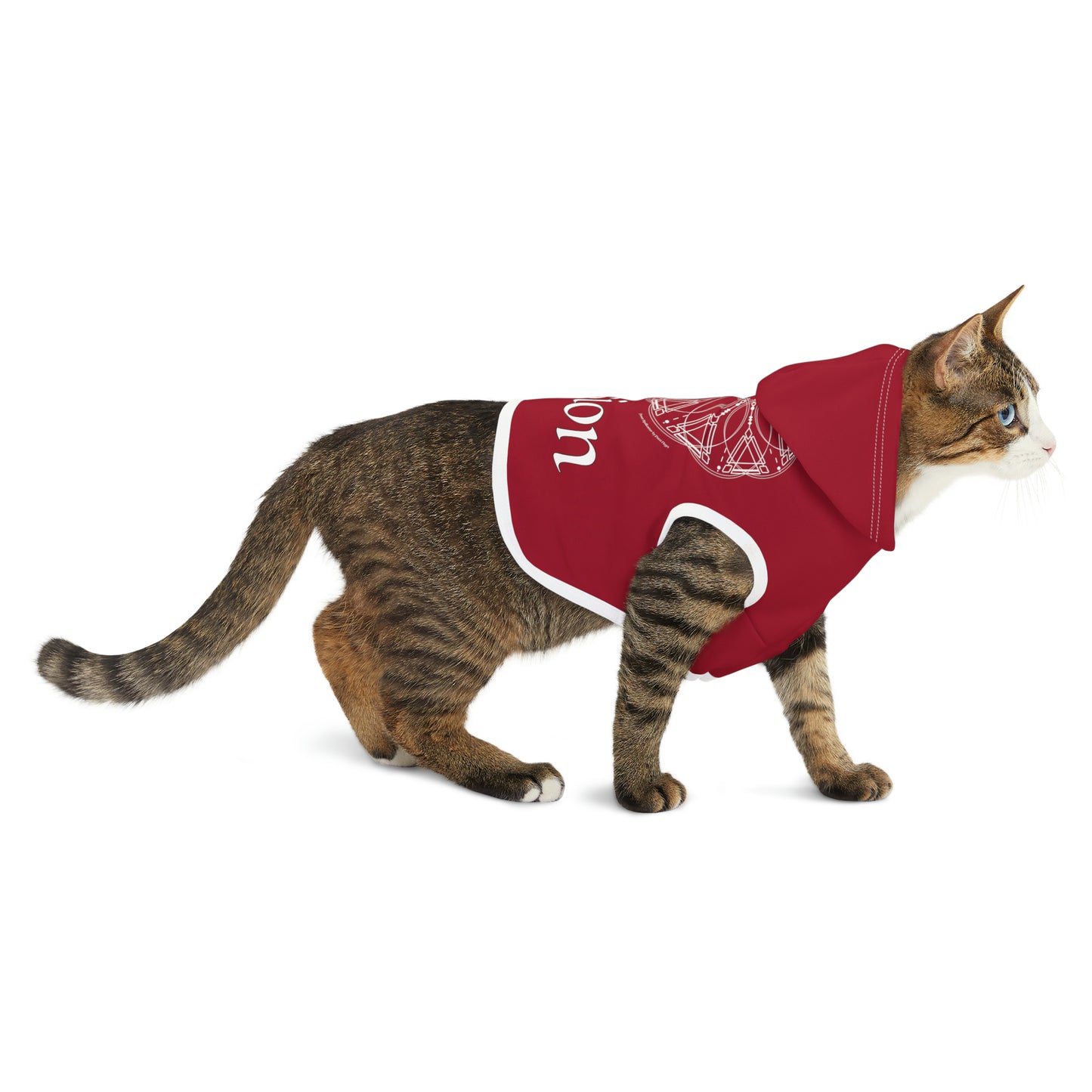 Spellcaster Pets by Patti Negri Dog Hoodie -Passion