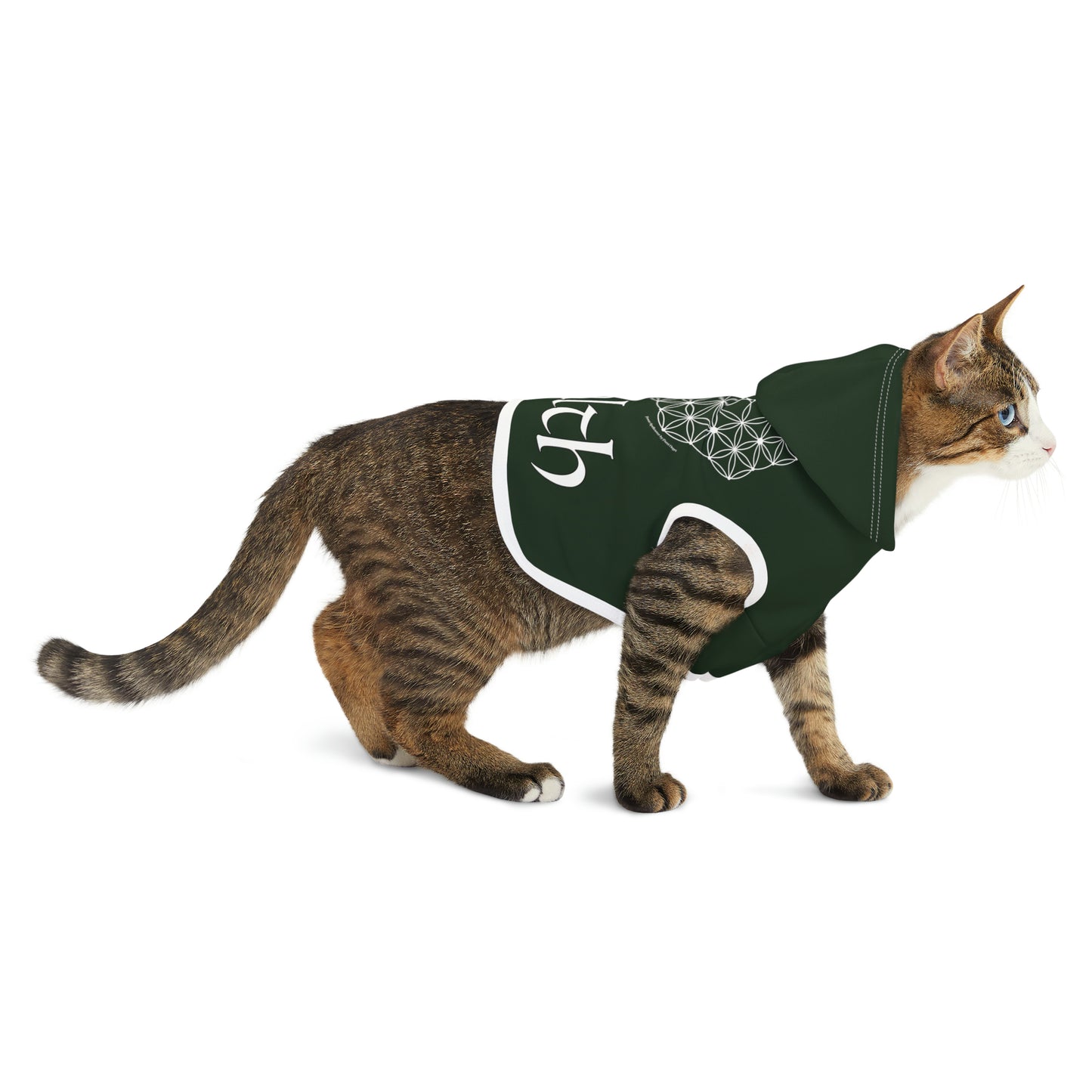 Spellcaster by Patti Negri Dog Hoodie - Wealth