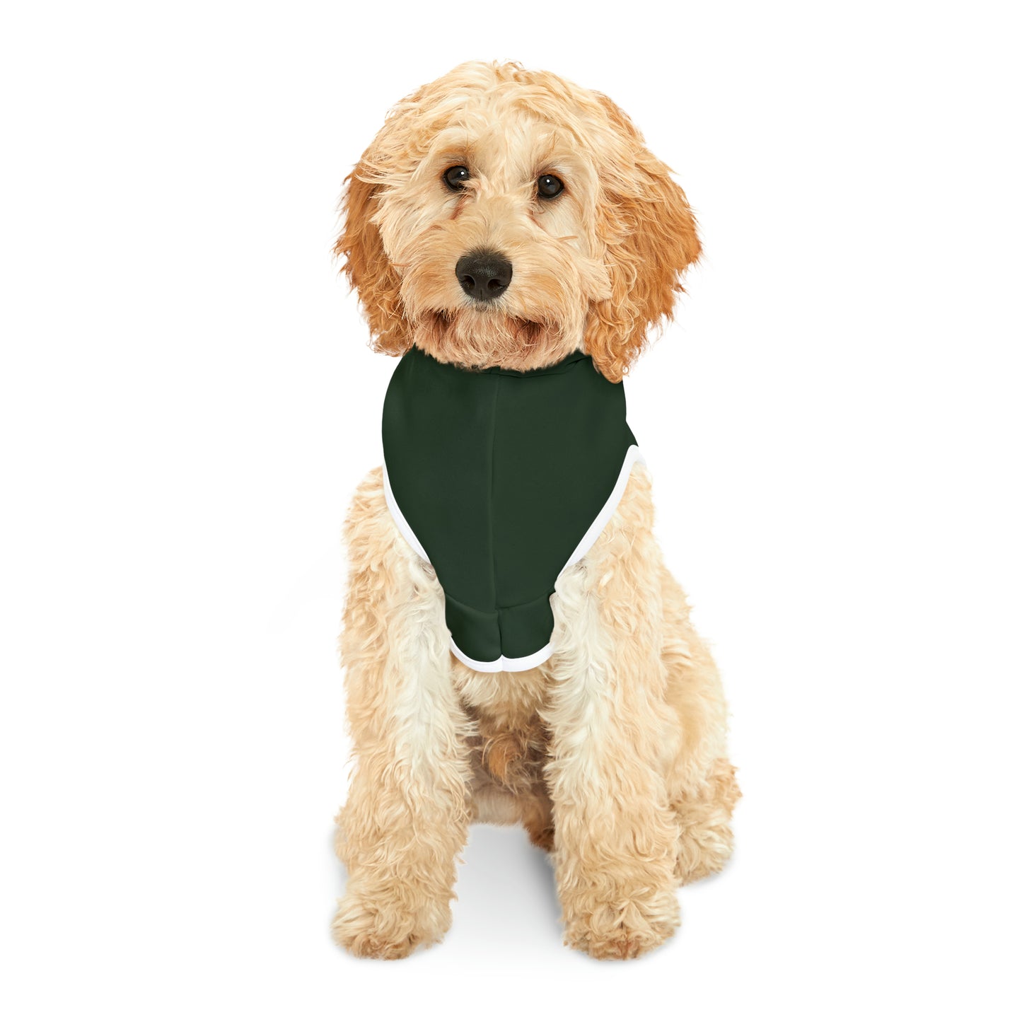 Spellcaster by Patti Negri Dog Hoodie - Wealth