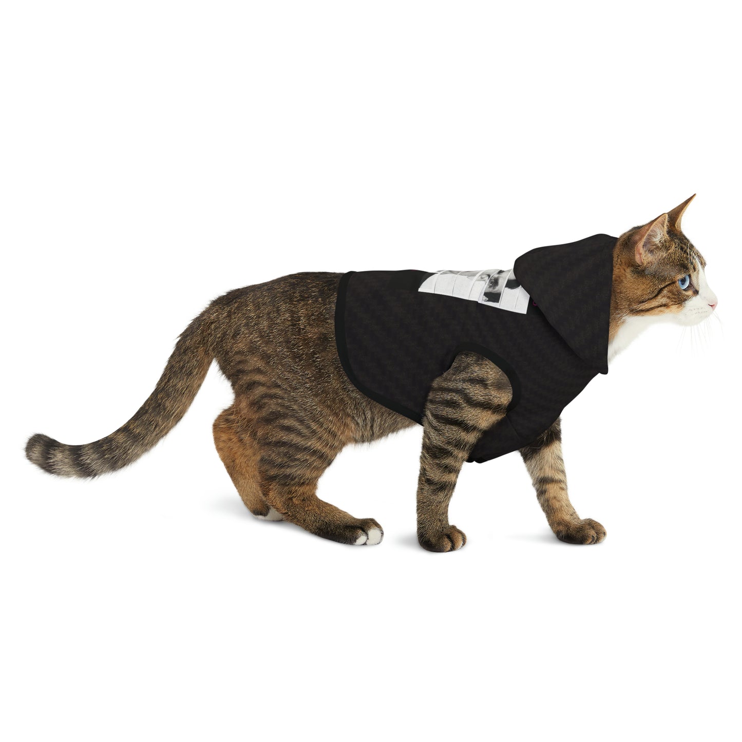 Strange Cures by Rob Zabrecky Pet Hoodie