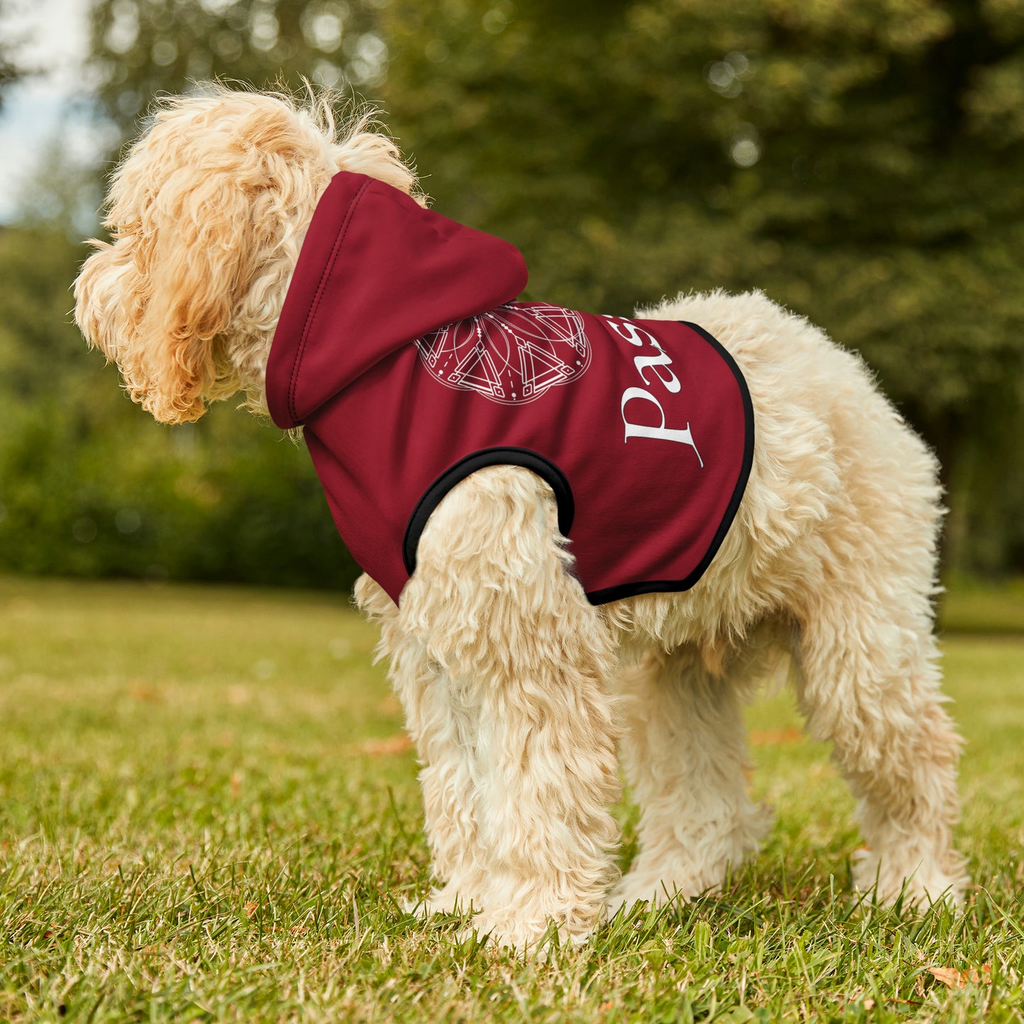 Spellcaster Pets by Patti Negri Dog Hoodie -Passion
