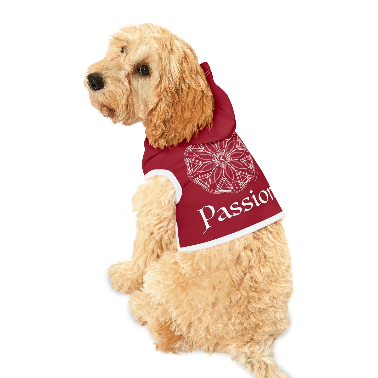 Spellcaster Pets by Patti Negri Dog Hoodie -Passion
