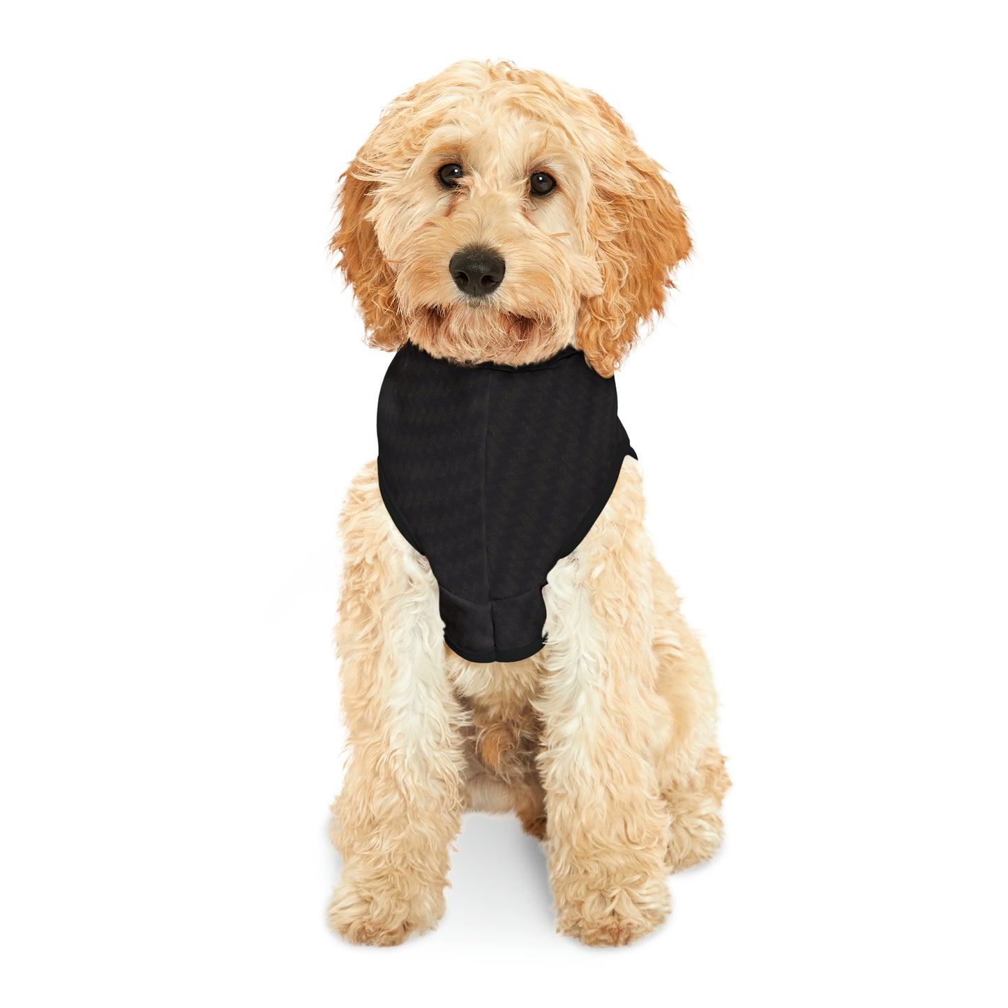 Strange Cures by Rob Zabrecky Pet Hoodie