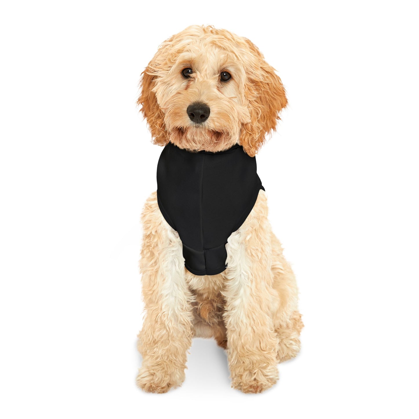 Spellcaster by Patti Negri Dog Hoodie - Witch