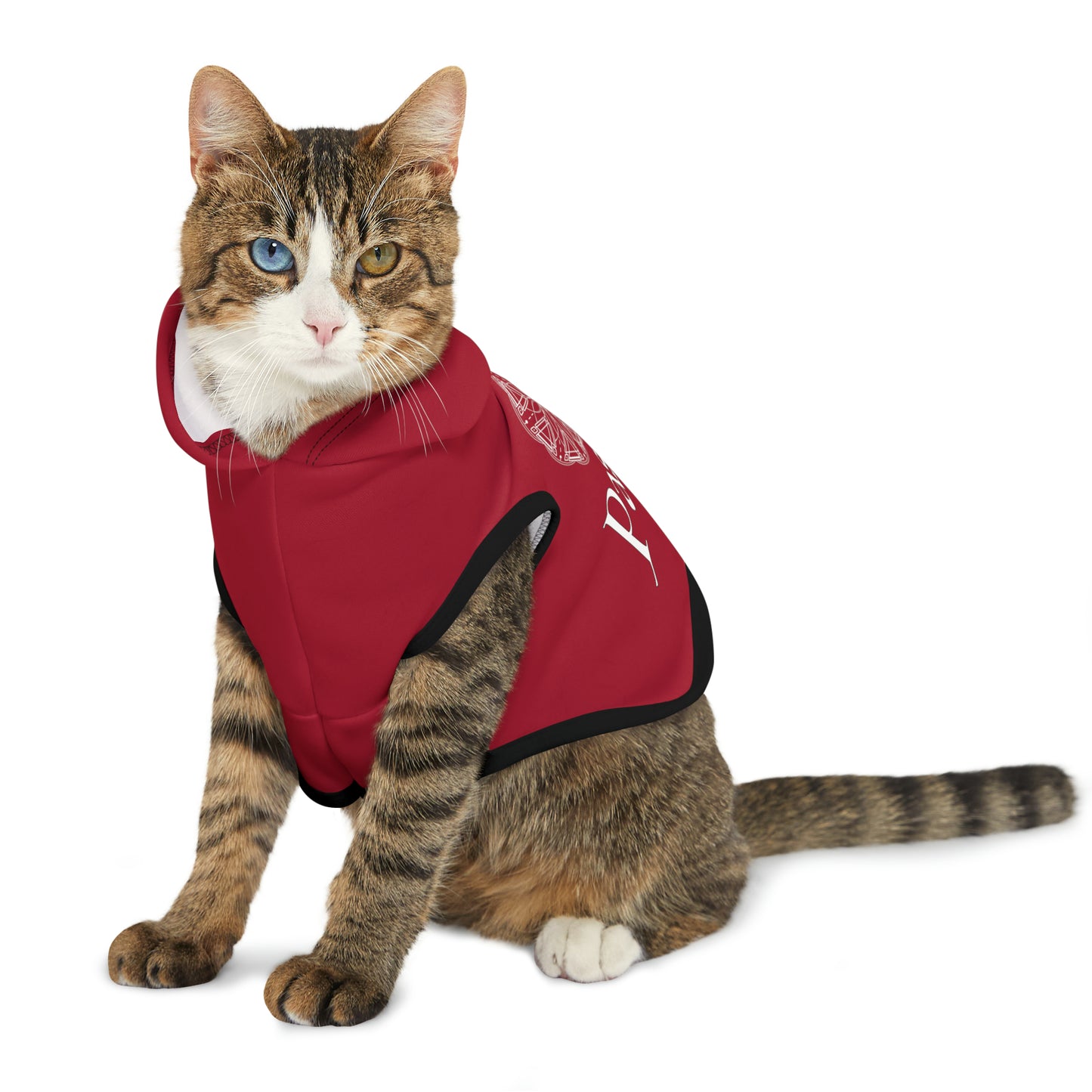 Spellcaster Pets by Patti Negri Dog Hoodie -Passion