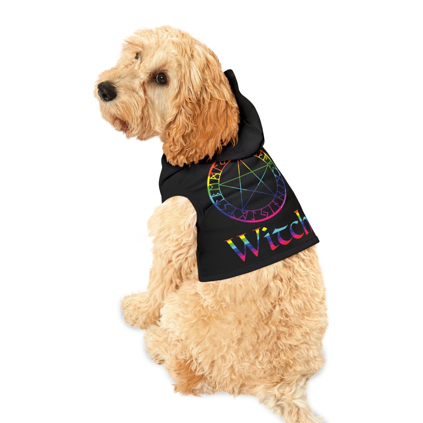 Spellcaster by Patti Negri Dog Hoodie - Witch