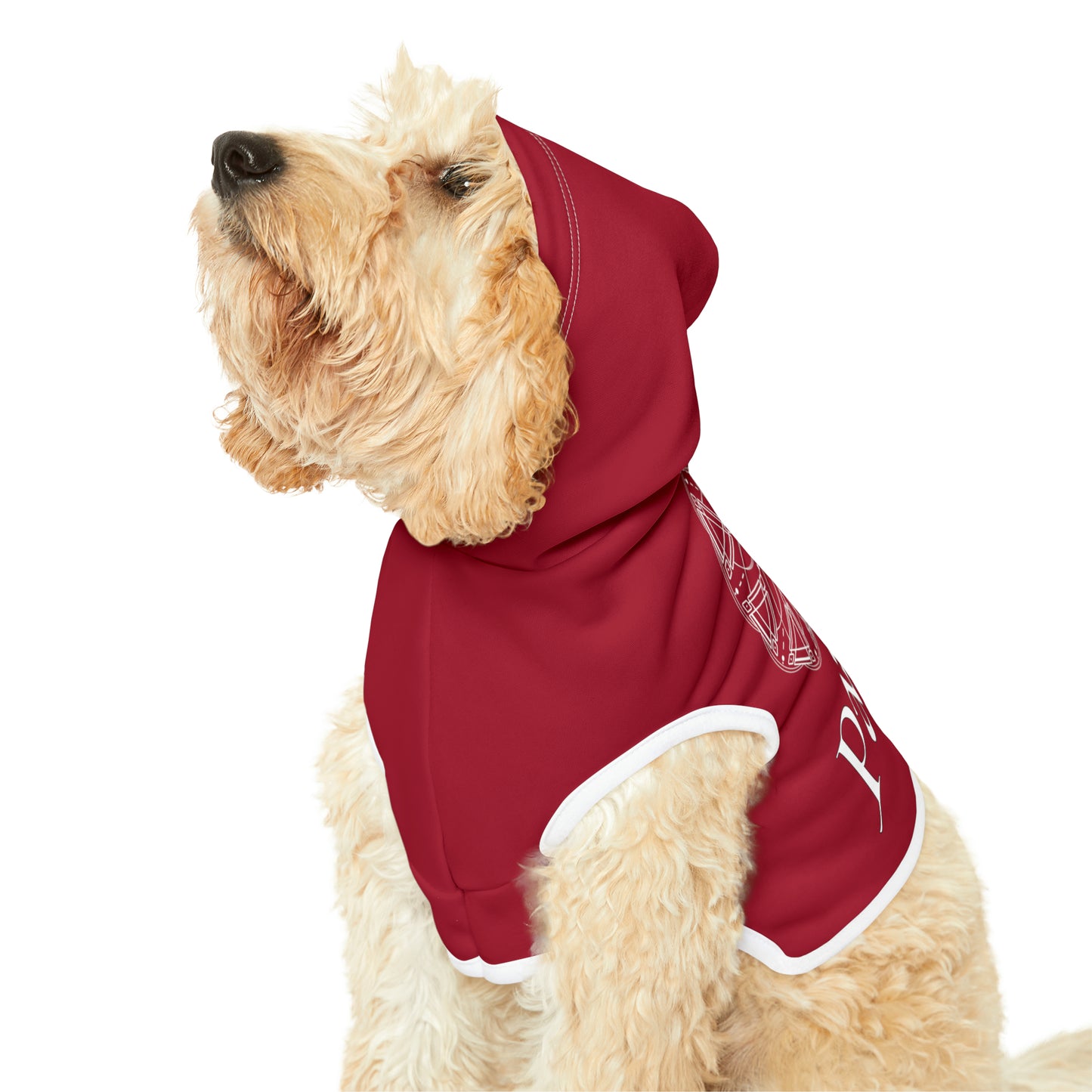 Spellcaster Pets by Patti Negri Dog Hoodie -Passion