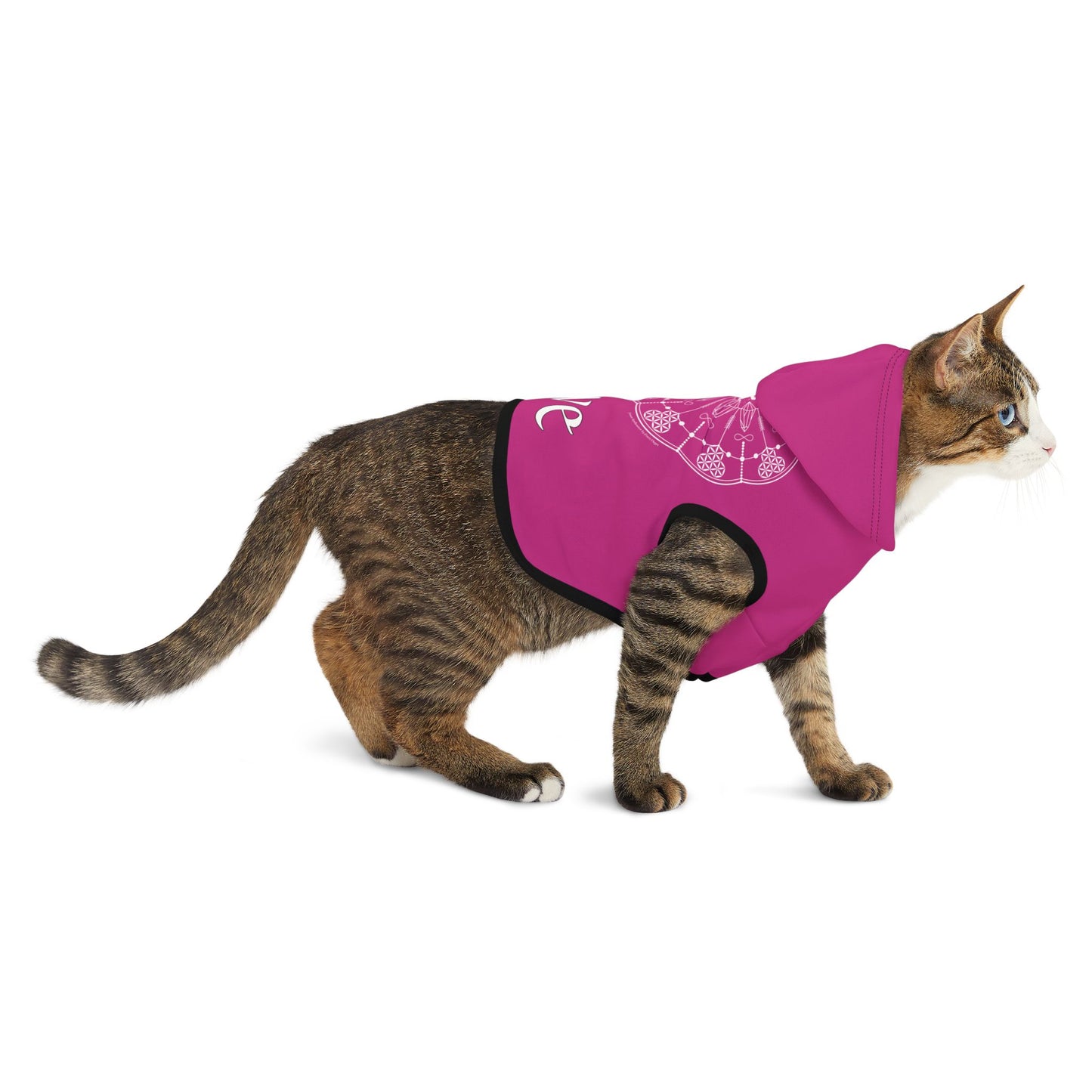 Patti's Power Spellcaster Dog Hoodie - Love