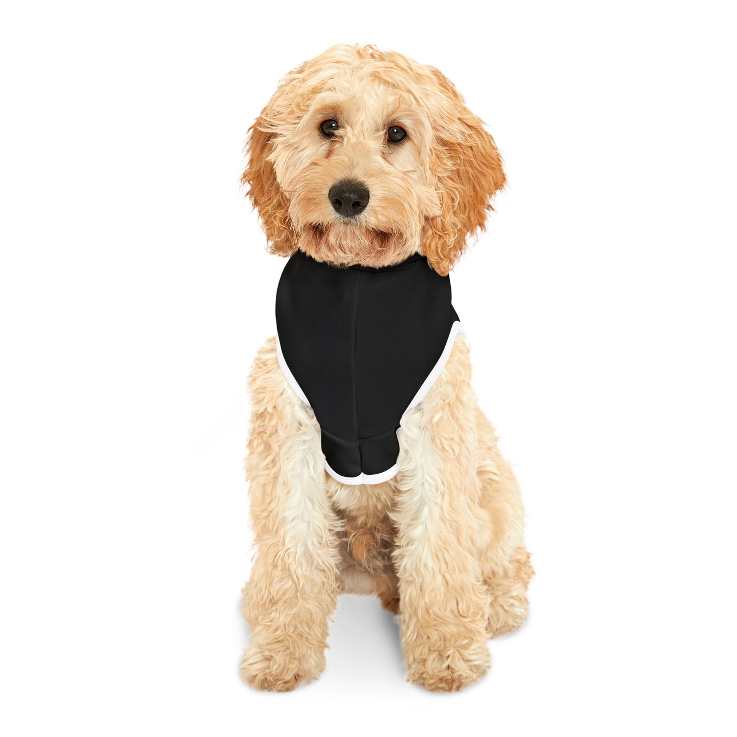 Spellcaster by Patti Negri Dog Hoodie - Witch