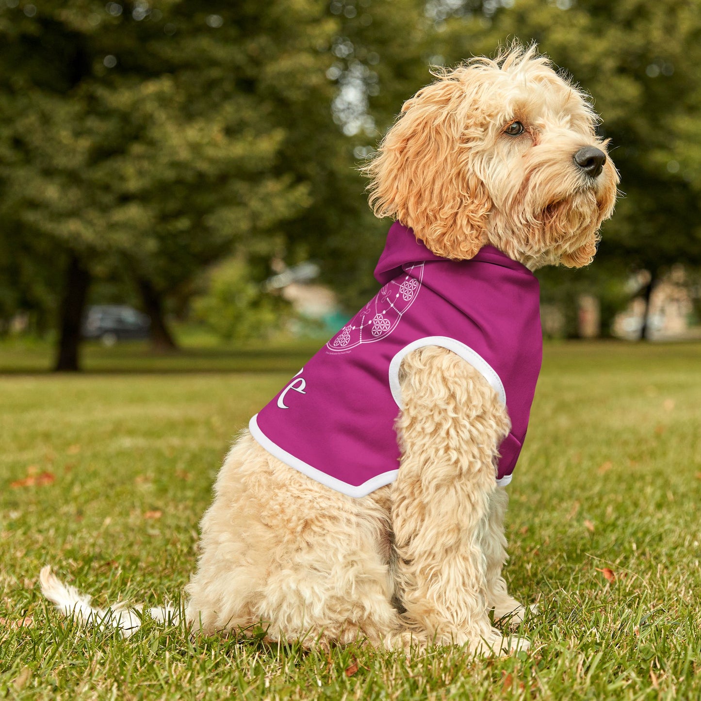 Patti's Power Spellcaster Dog Hoodie - Love