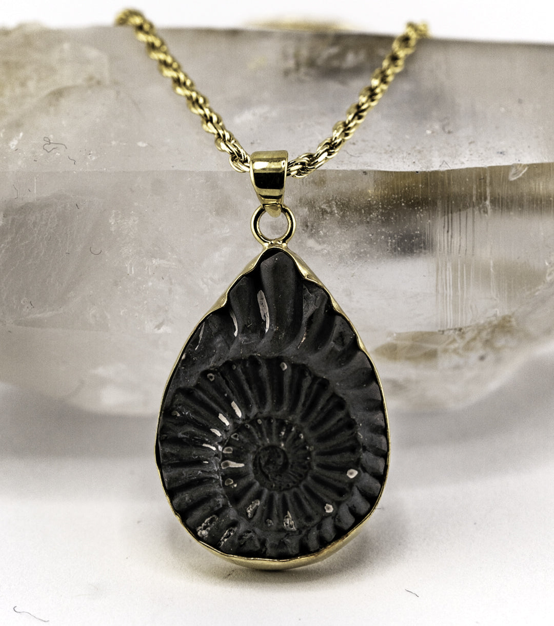 Fossil Ammonite Pyrite & Gold-Plate Necklace