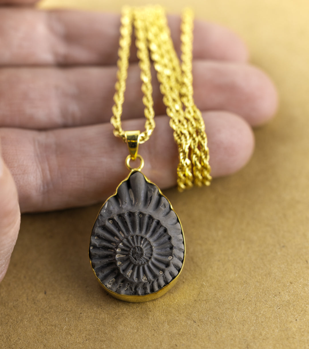 Fossil Ammonite Pyrite & Gold-Plate Necklace