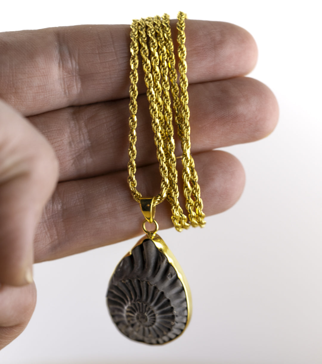 Fossil Ammonite Pyrite & Gold-Plate Necklace