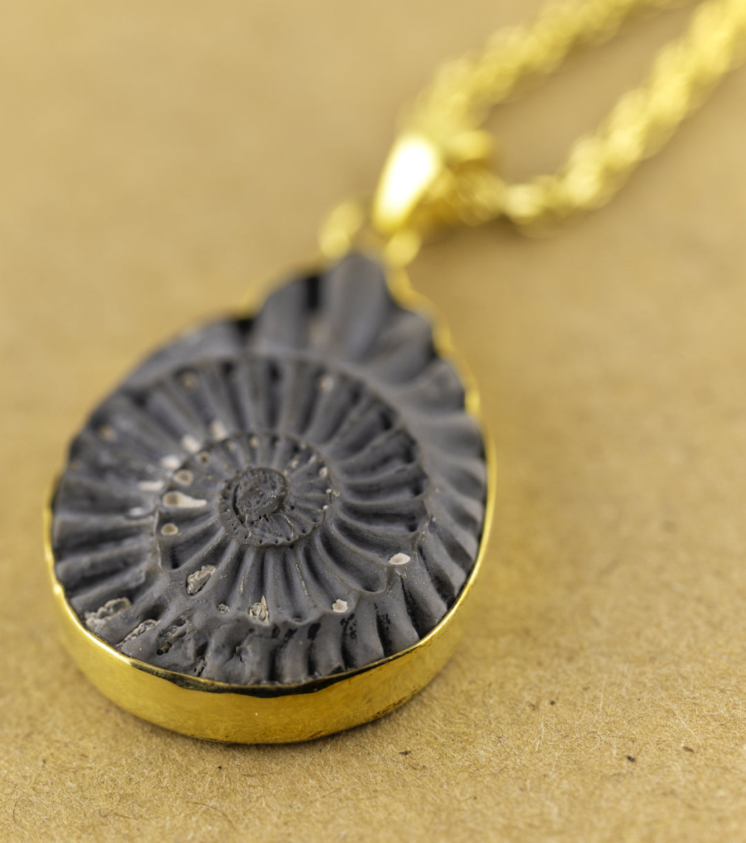 Fossil Ammonite Pyrite & Gold-Plate Necklace