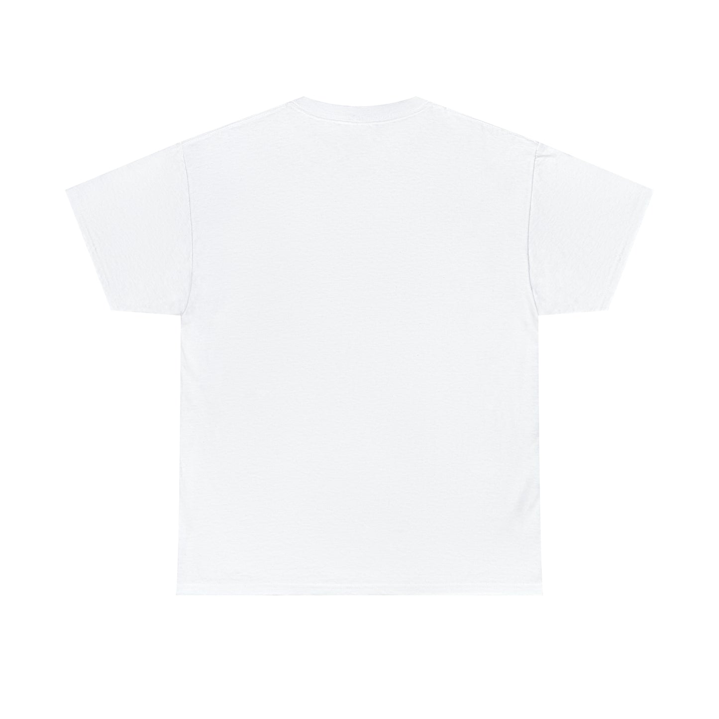 Spade And Archer Private Investigator T-Shirt Unisex Heavy Cotton Tee