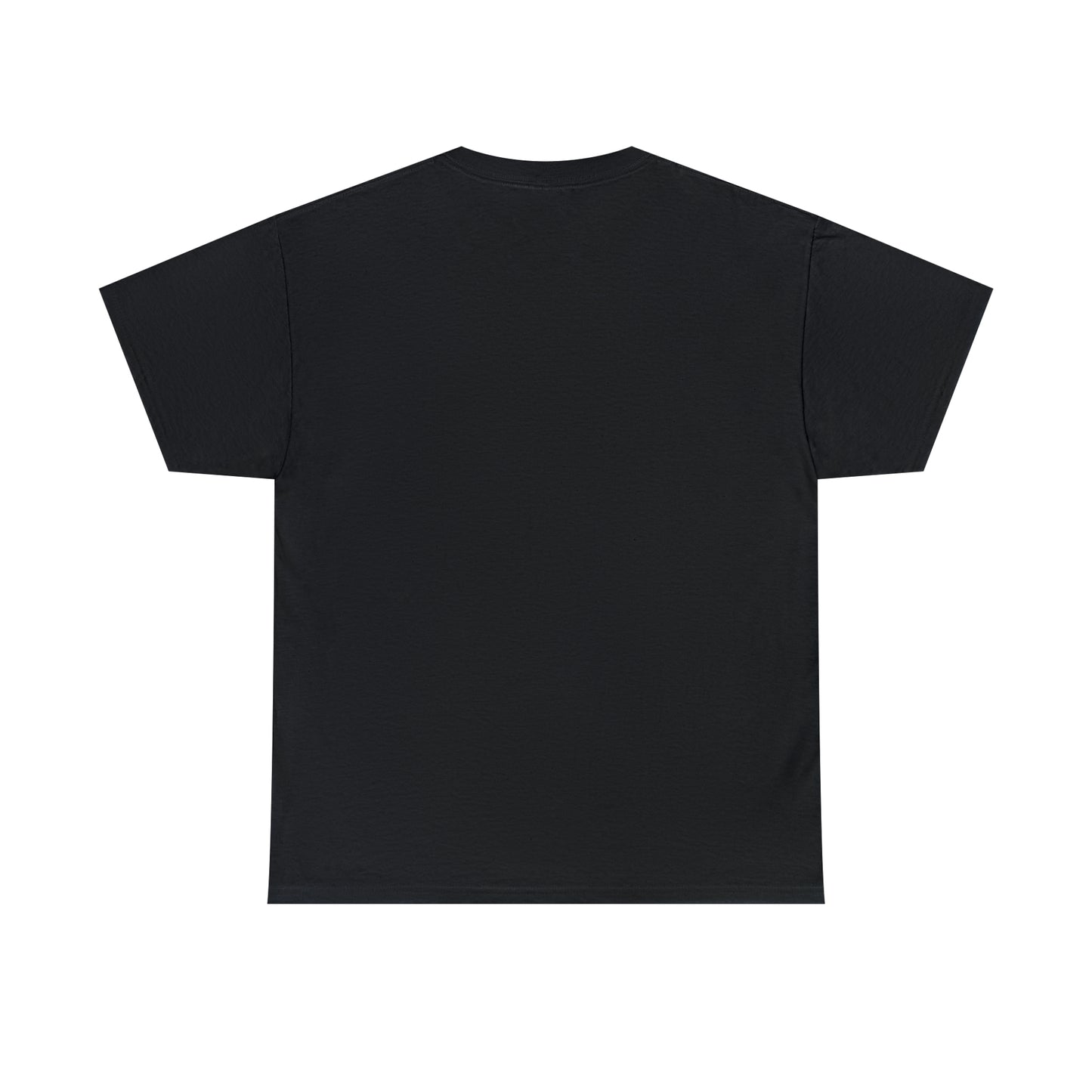Spade And Archer Private Investigator T-Shirt Unisex Heavy Cotton Tee