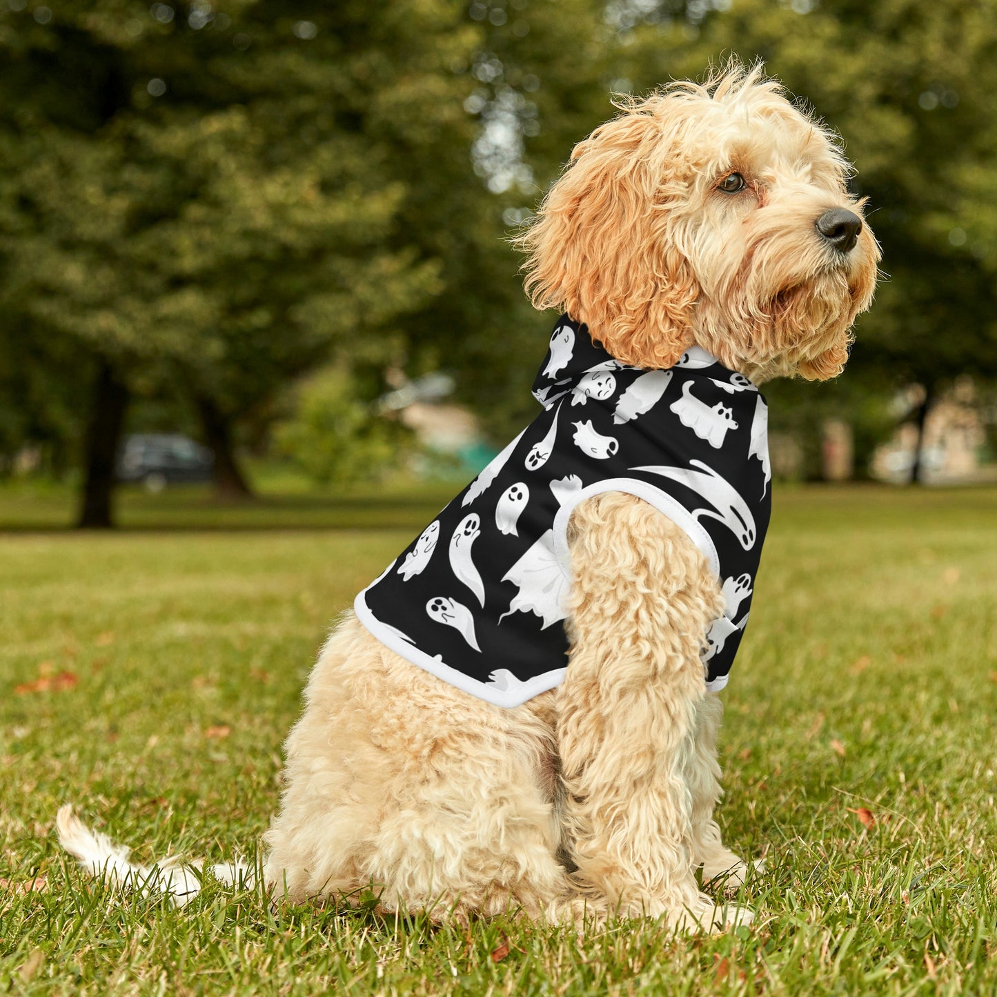 Scared & Alone Boo-tiful Pet Hoodie