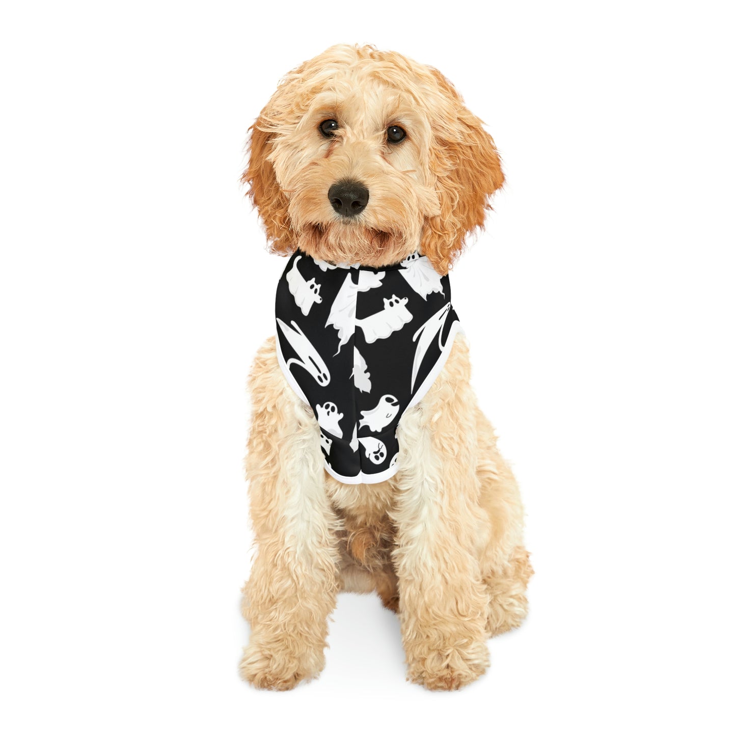 Scared & Alone Boo-tiful Pet Hoodie