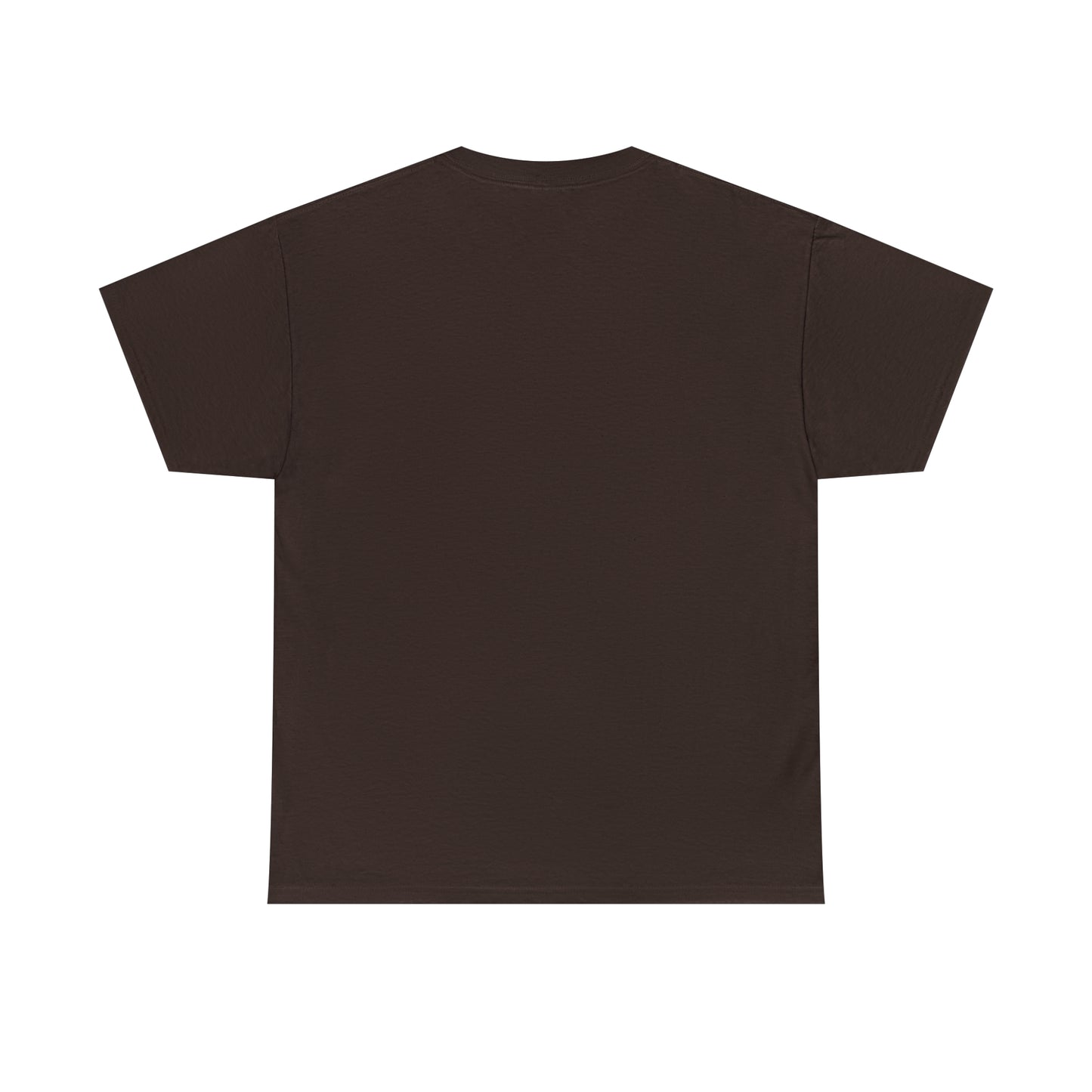 Spade And Archer Private Investigator T-Shirt Unisex Heavy Cotton Tee