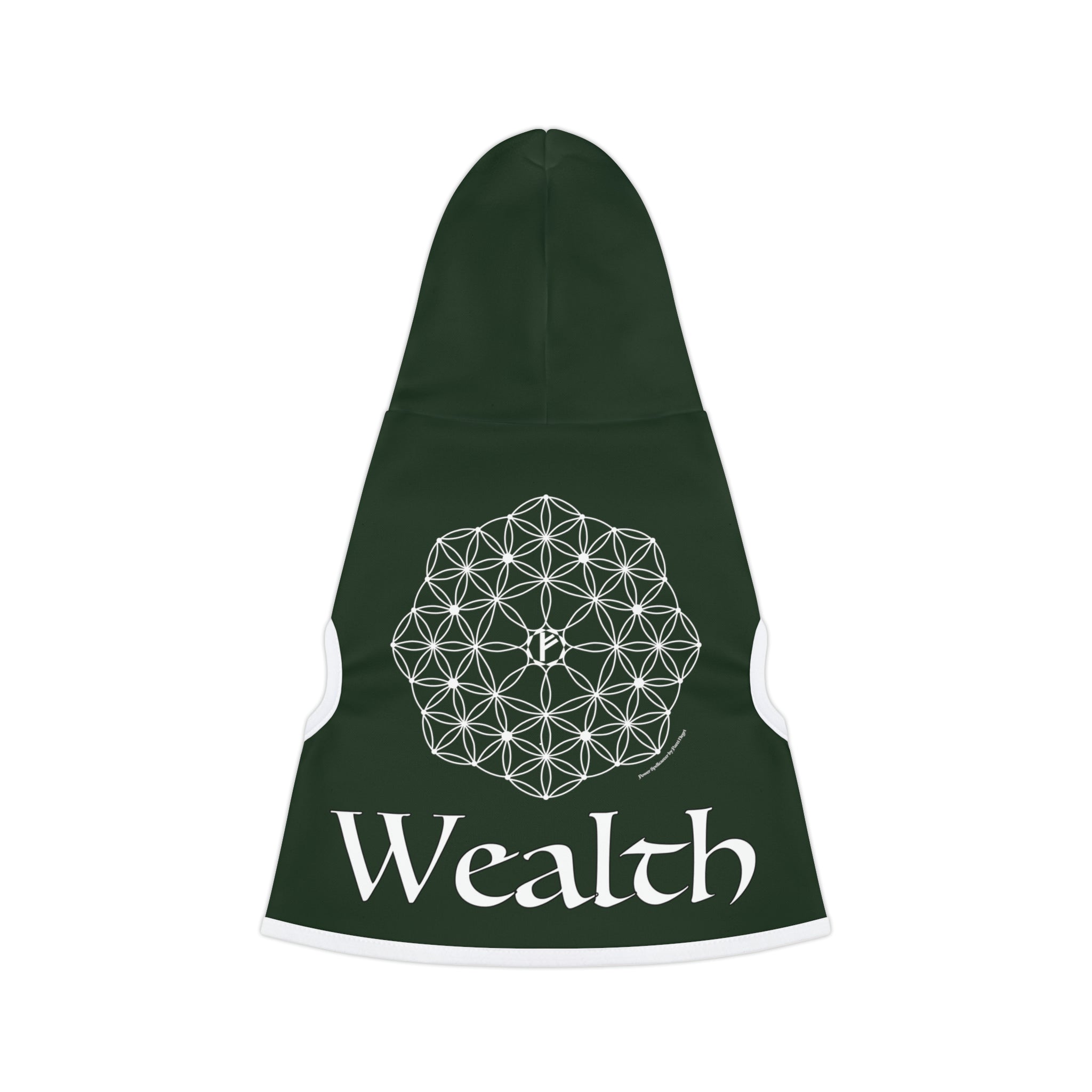 Spellcaster by Patti Negri Dog Hoodie - Wealth