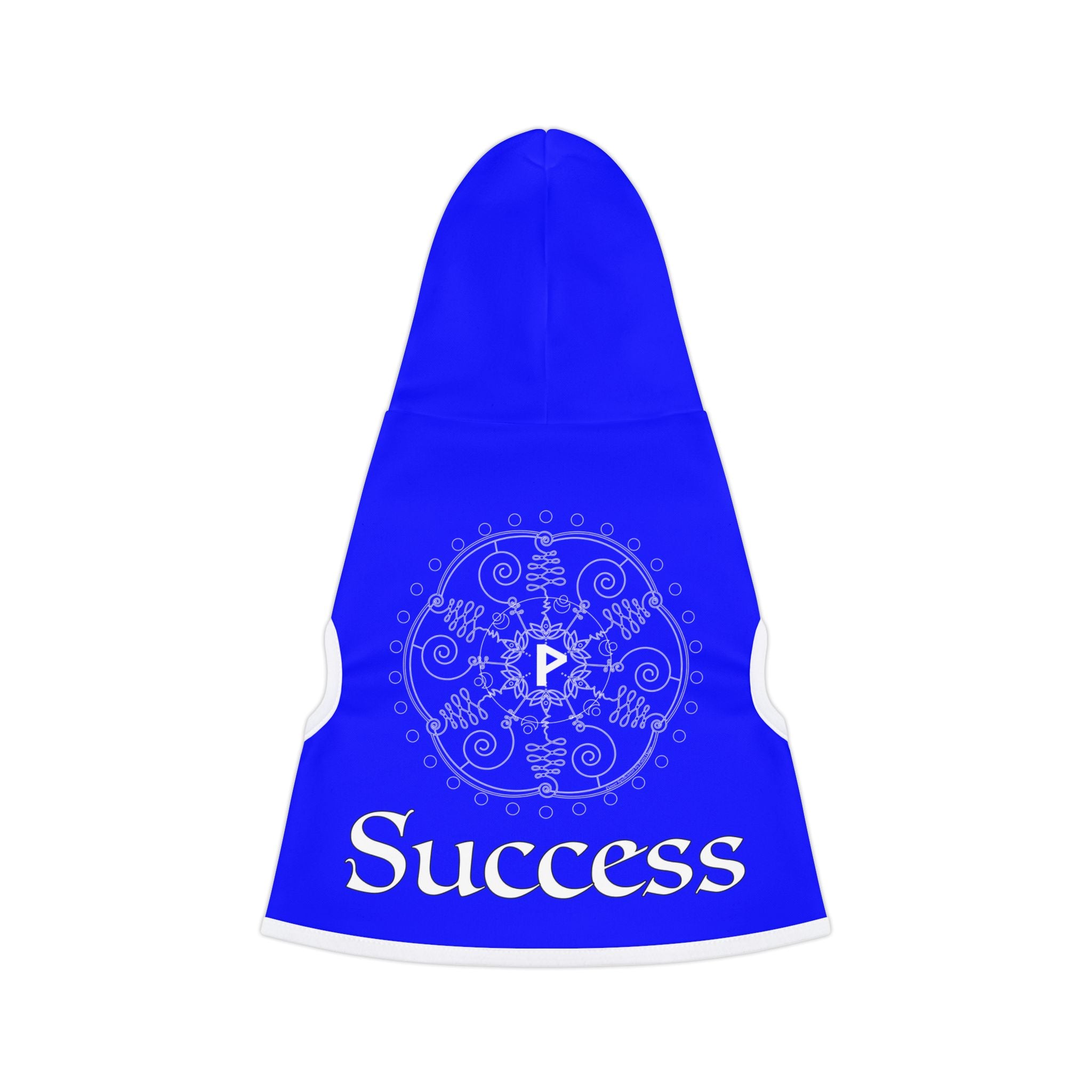 Spellcaster by Patti Negri Dog Hoodie - Success