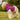 Patti's Power Spellcaster Dog Hoodie - Love