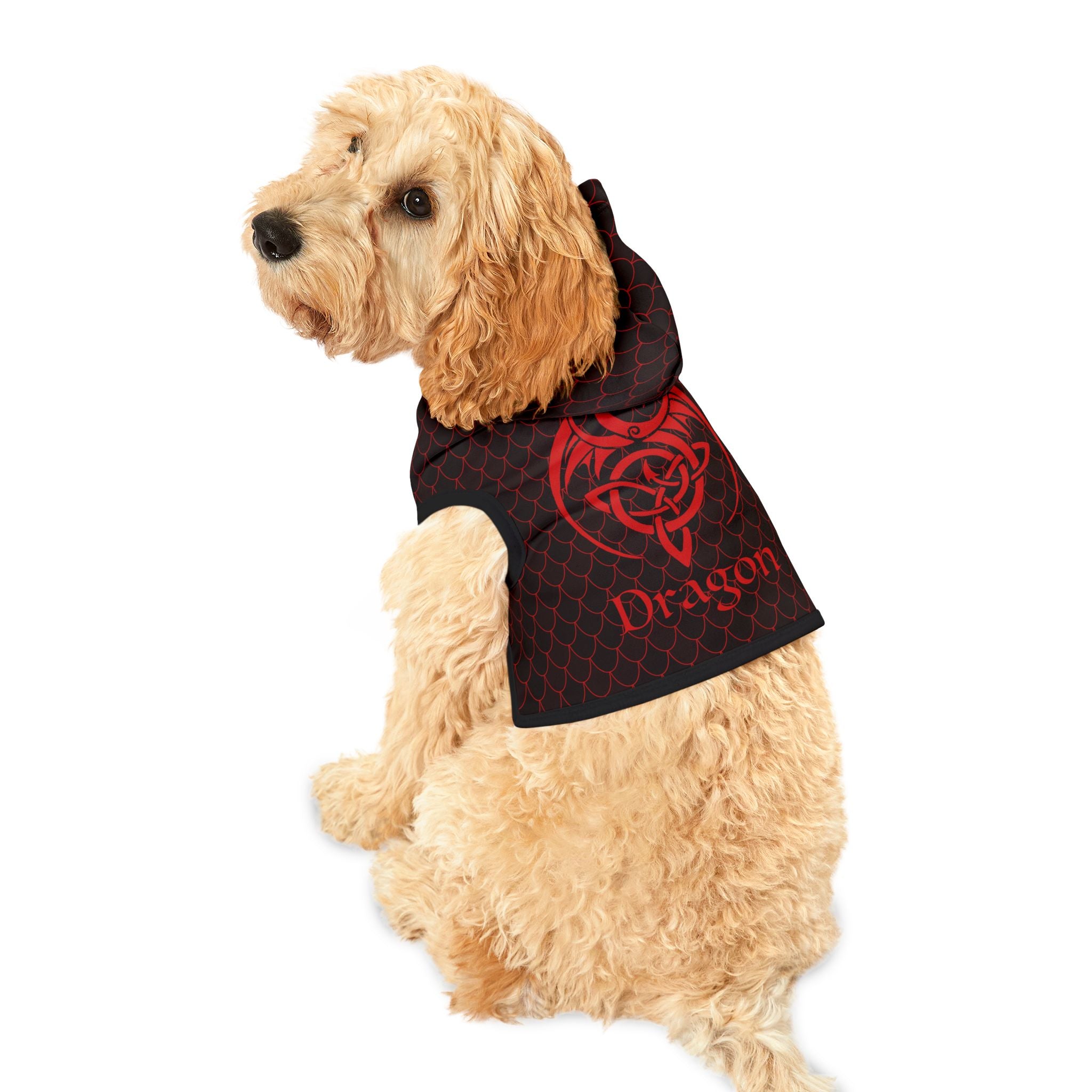 Spellcaster Pet Hoodie - Dragon