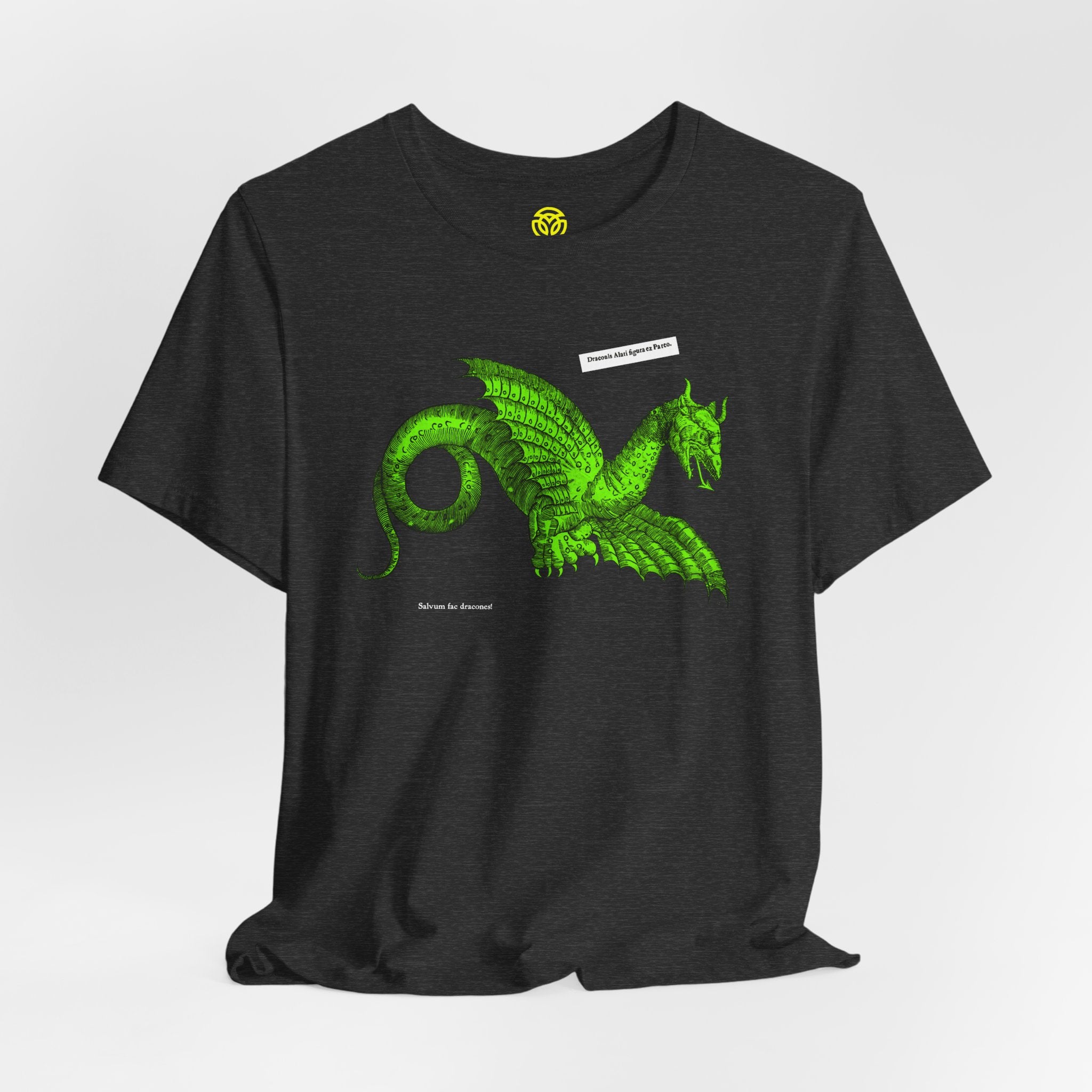 Save the Dragons - 1640 Aldrovandi "Flying Dragon" Unisex Tee