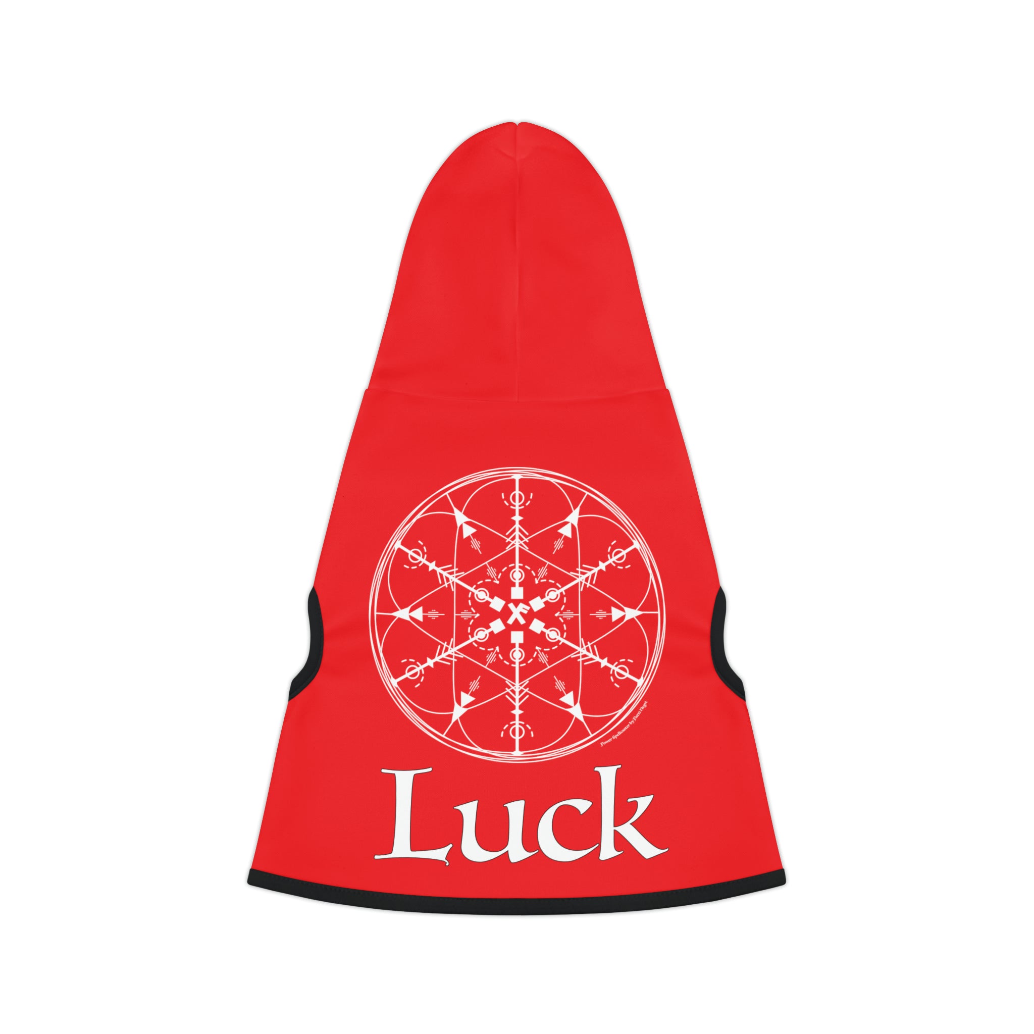 Spellcaster by Patti Negri Dog Hoodie - Luck