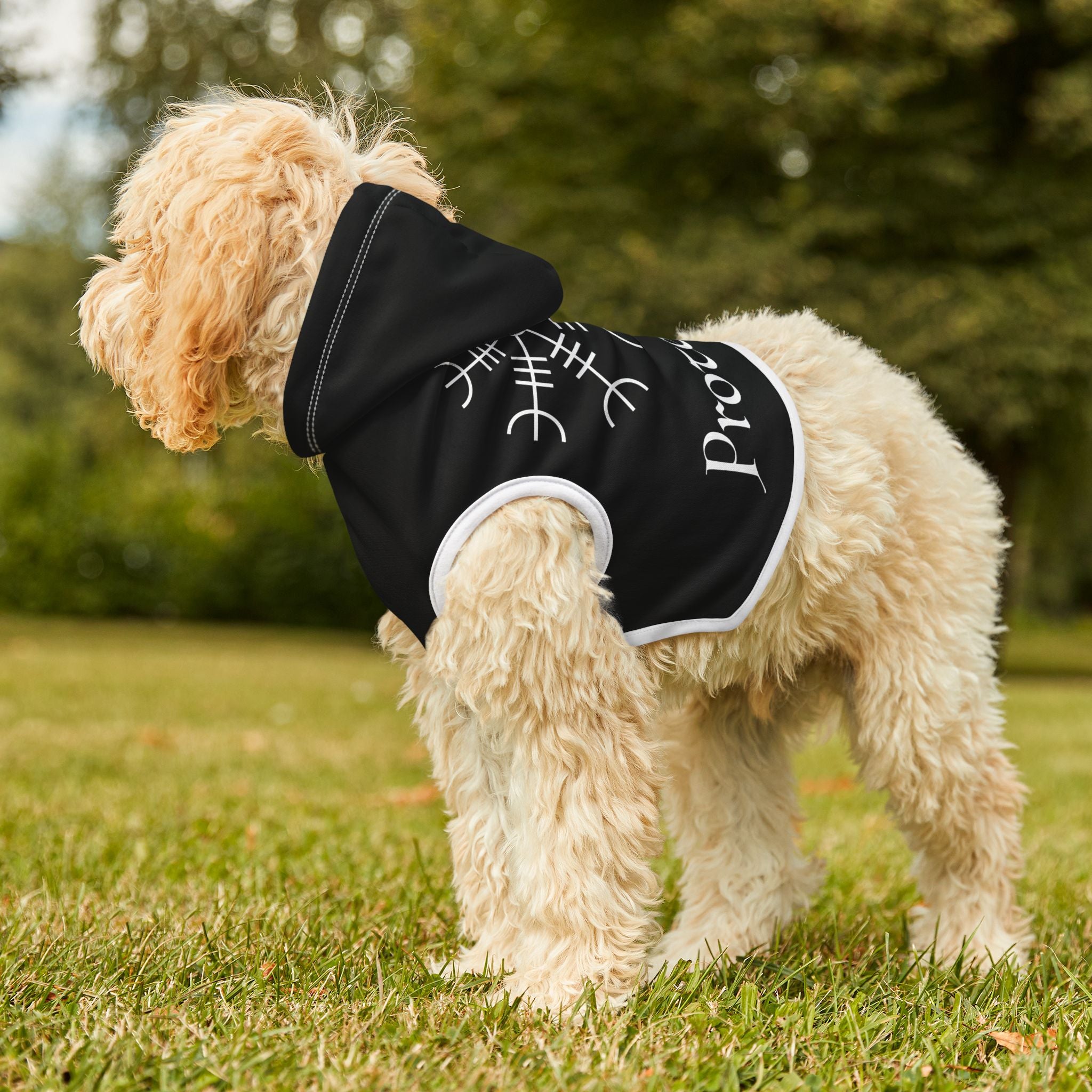 Spellcaster Dog Hoodie - Helm of Awe Protection