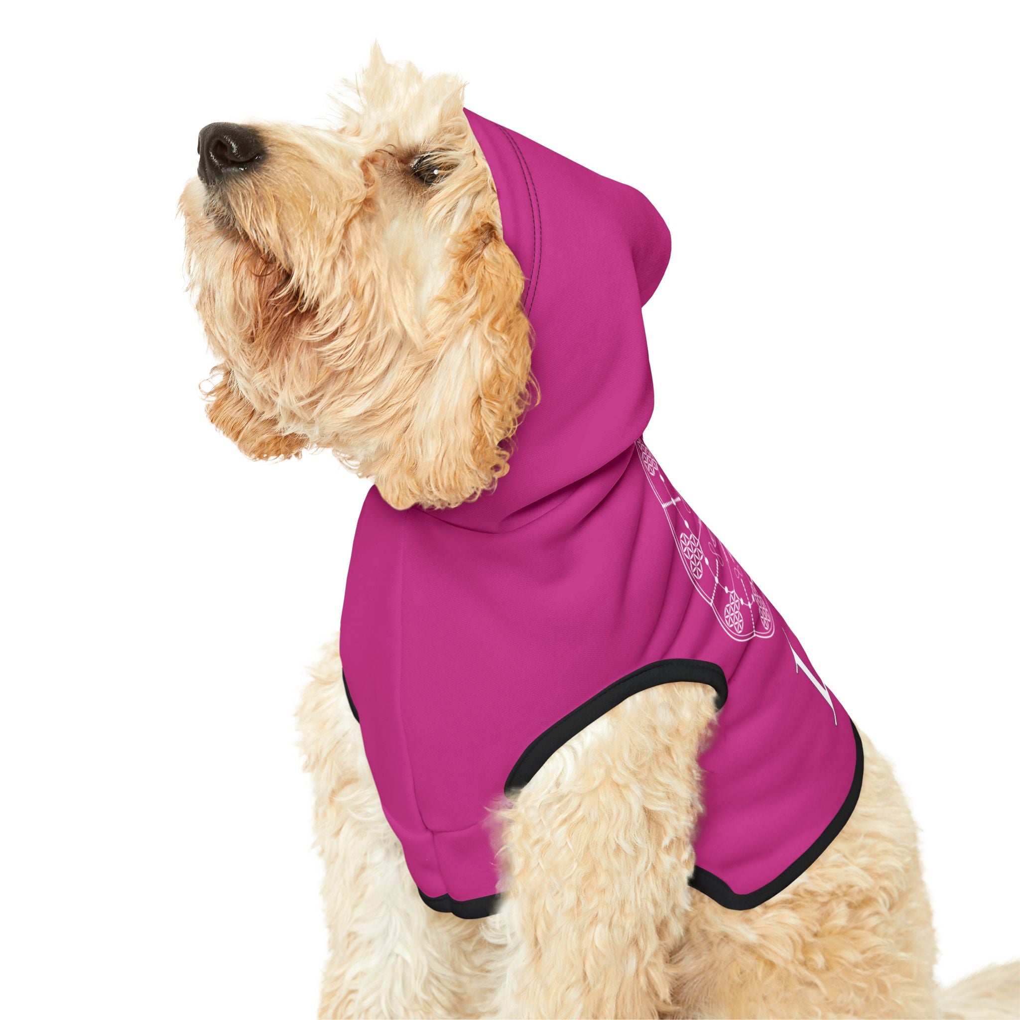 Patti's Power Spellcaster Dog Hoodie - Love